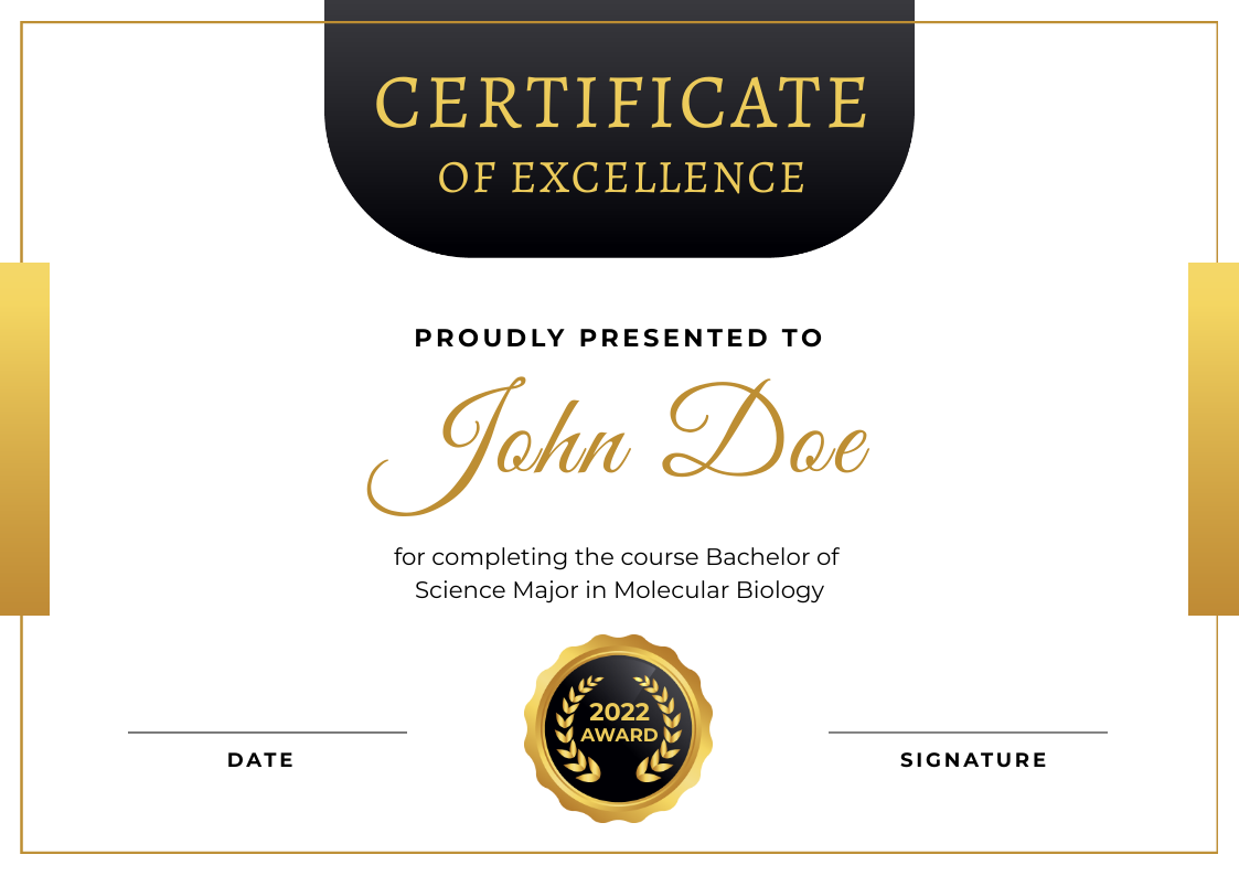 CERTIFICATE OF EXCELLENCE by Vishnu Grover CERTIFICATE OF EXCELLENCE in Certificate Inspiration by Vishnu Grover