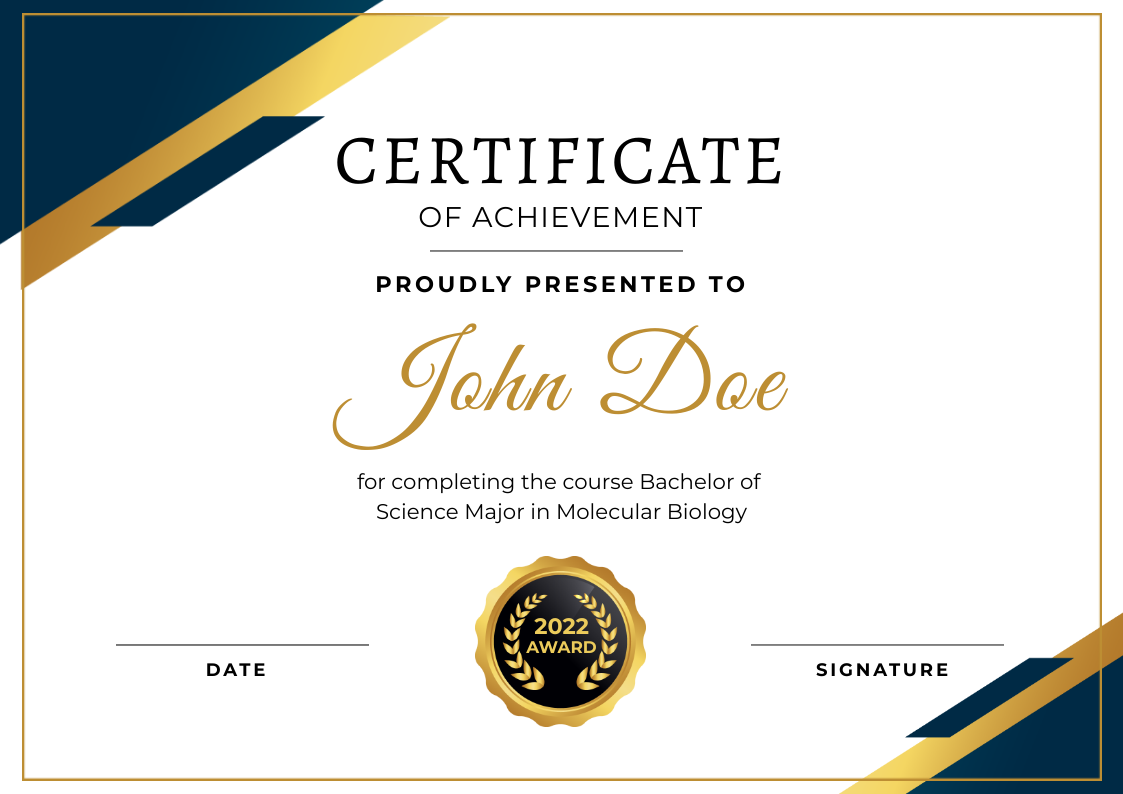 CERTIFICATE OF ACHIEVEMENT in Certificate Inspiration by Vishnu Grover