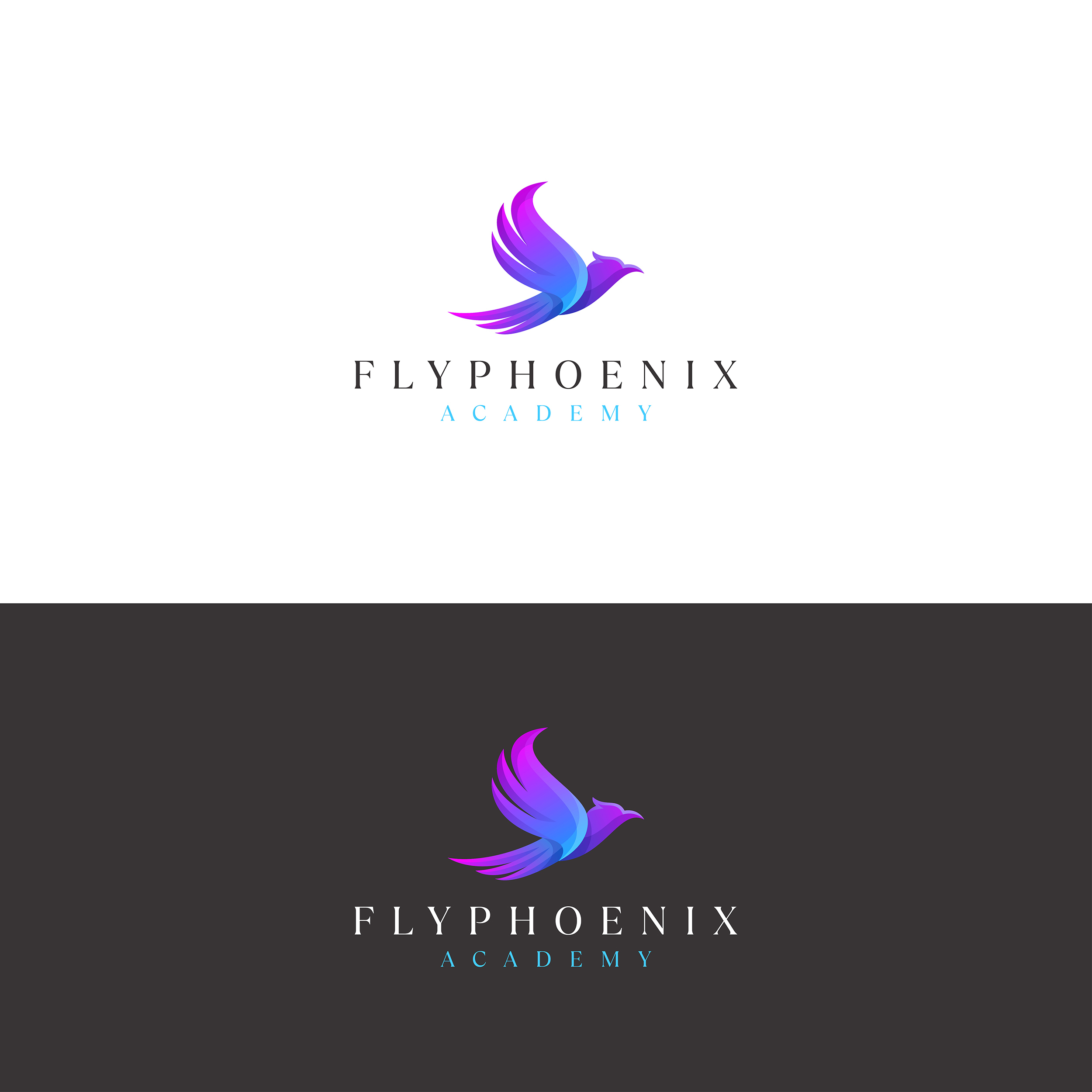 FlyPhoenix Academy Logo in Logo Design Inspiration by Design Fans