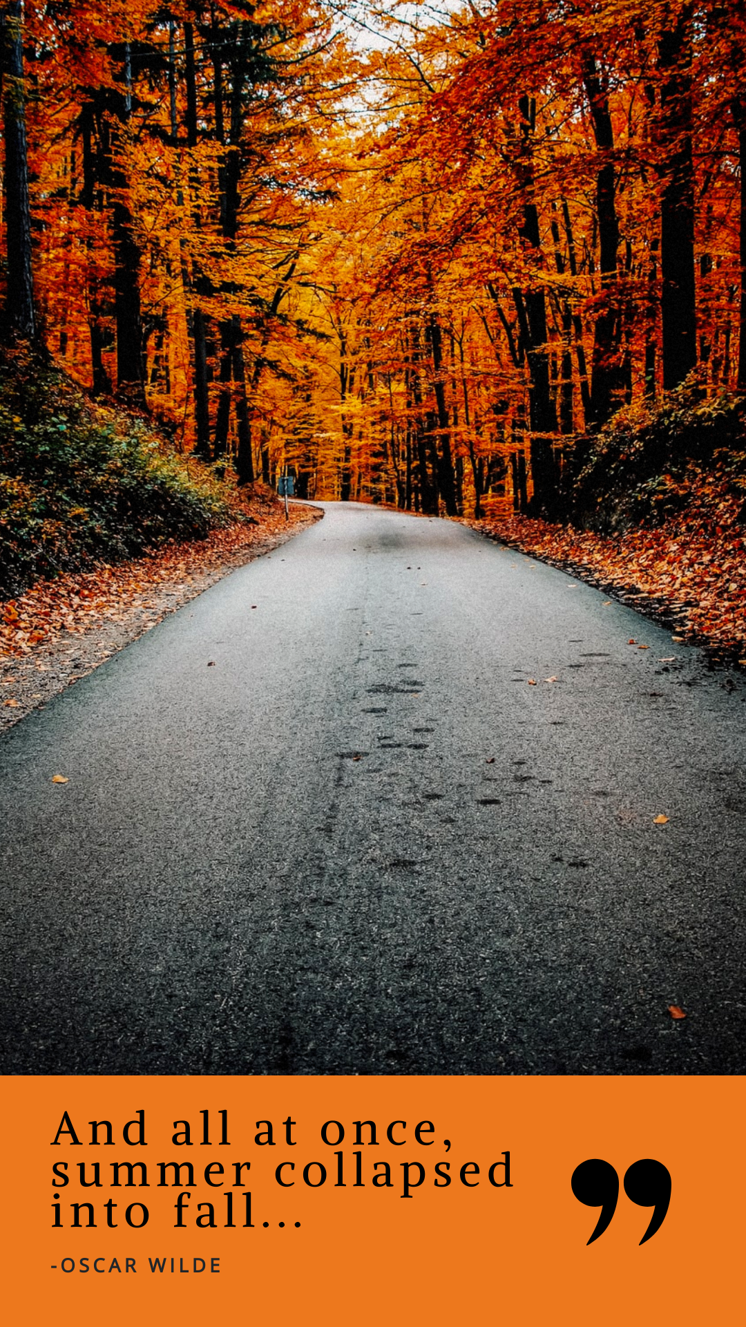 Autumn has come.. by Pierre Roringpandey Autumn has come.. in Instagram Story Inspiration by Pierre Roringpandey