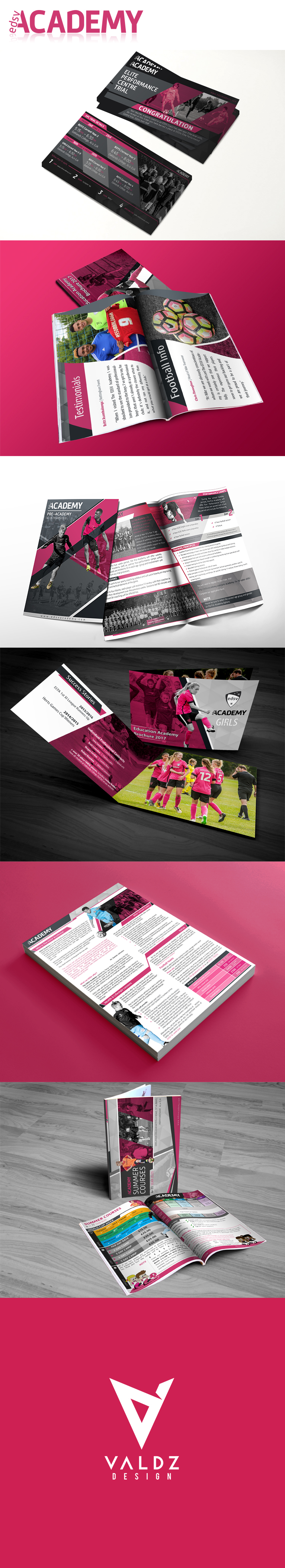 EDSV Academy in Advertisement Design Inspiration by Valdz