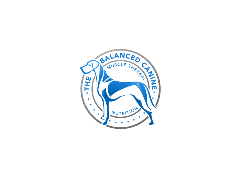 Balanced Canine in Logo Design Inspiration by Sallee