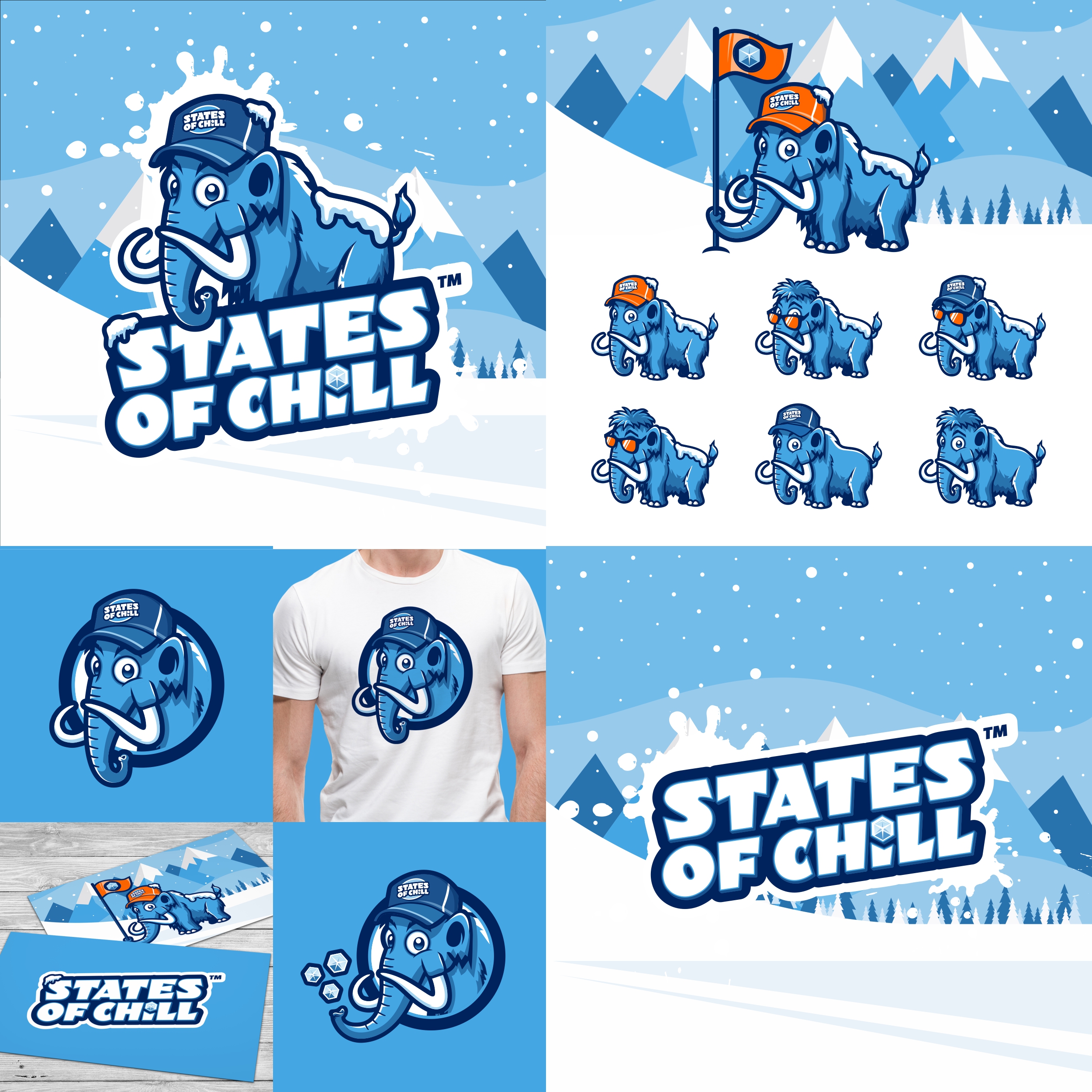 States of Chill in Logo & Brand Identity Inspiration by Beedigital