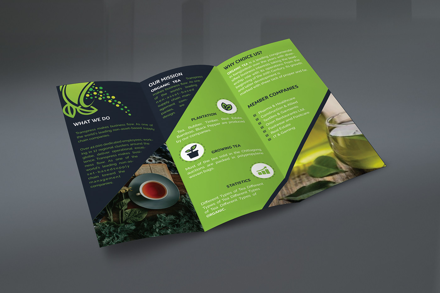 Tri Fold Frochure Design by Trims Design Tri Fold Frochure Design in Brochure Design Inspiration by Trims Design