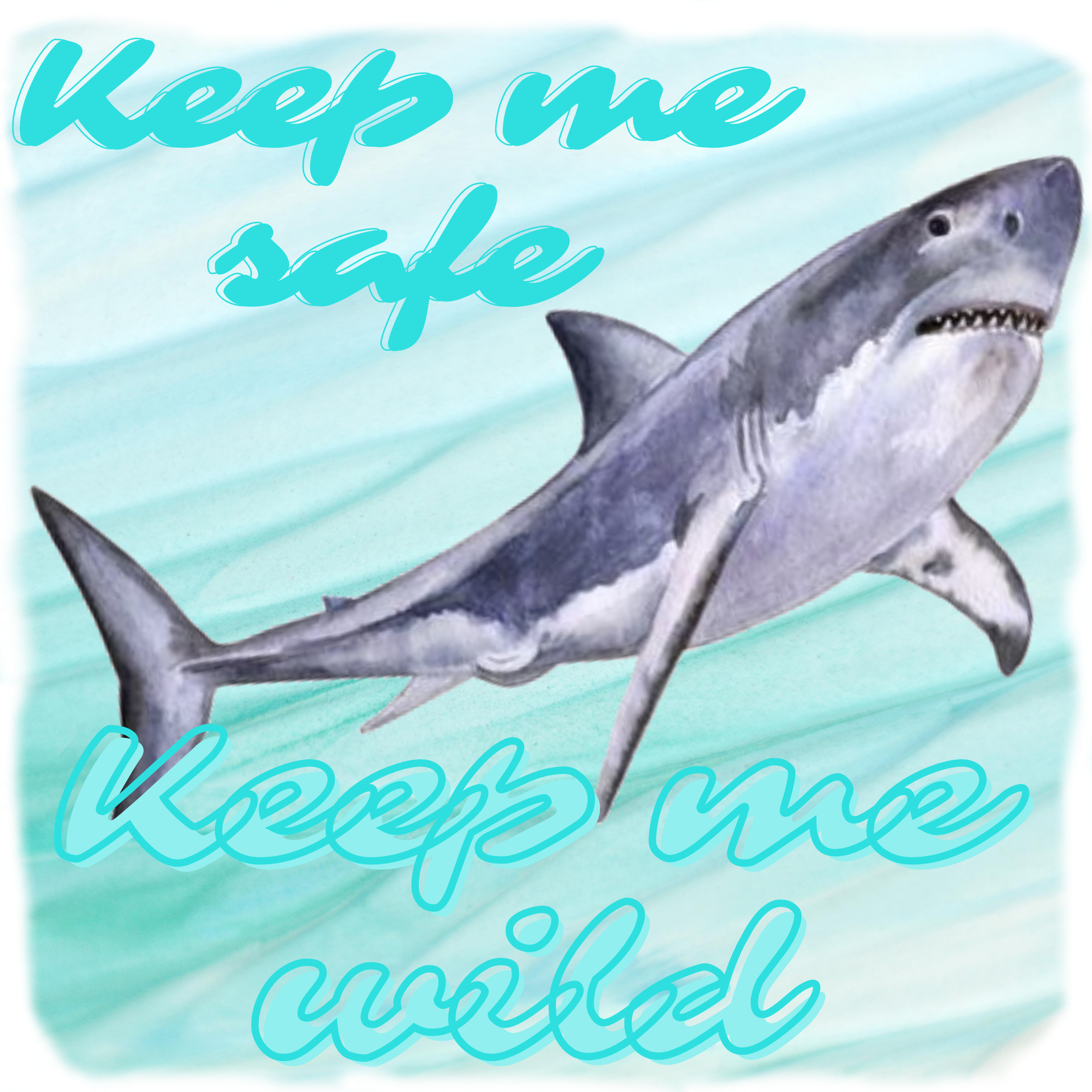 Save the Sharks by Maricarmen Herrejon Save the Sharks in Digital Photography Inspiration by Maricarmen Herrejon