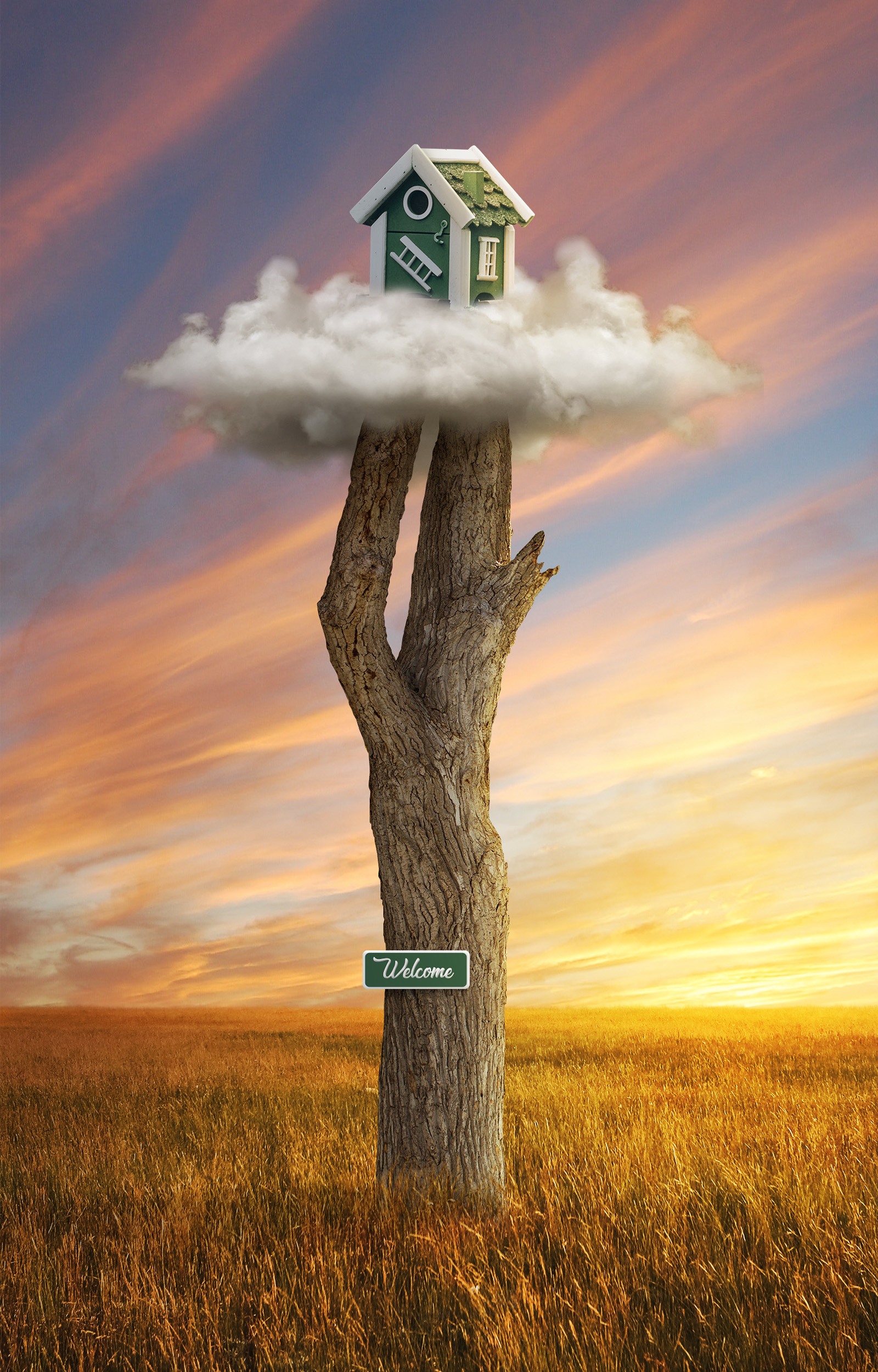 Bird House in Visual Art Inspiration by Haziq Kamil