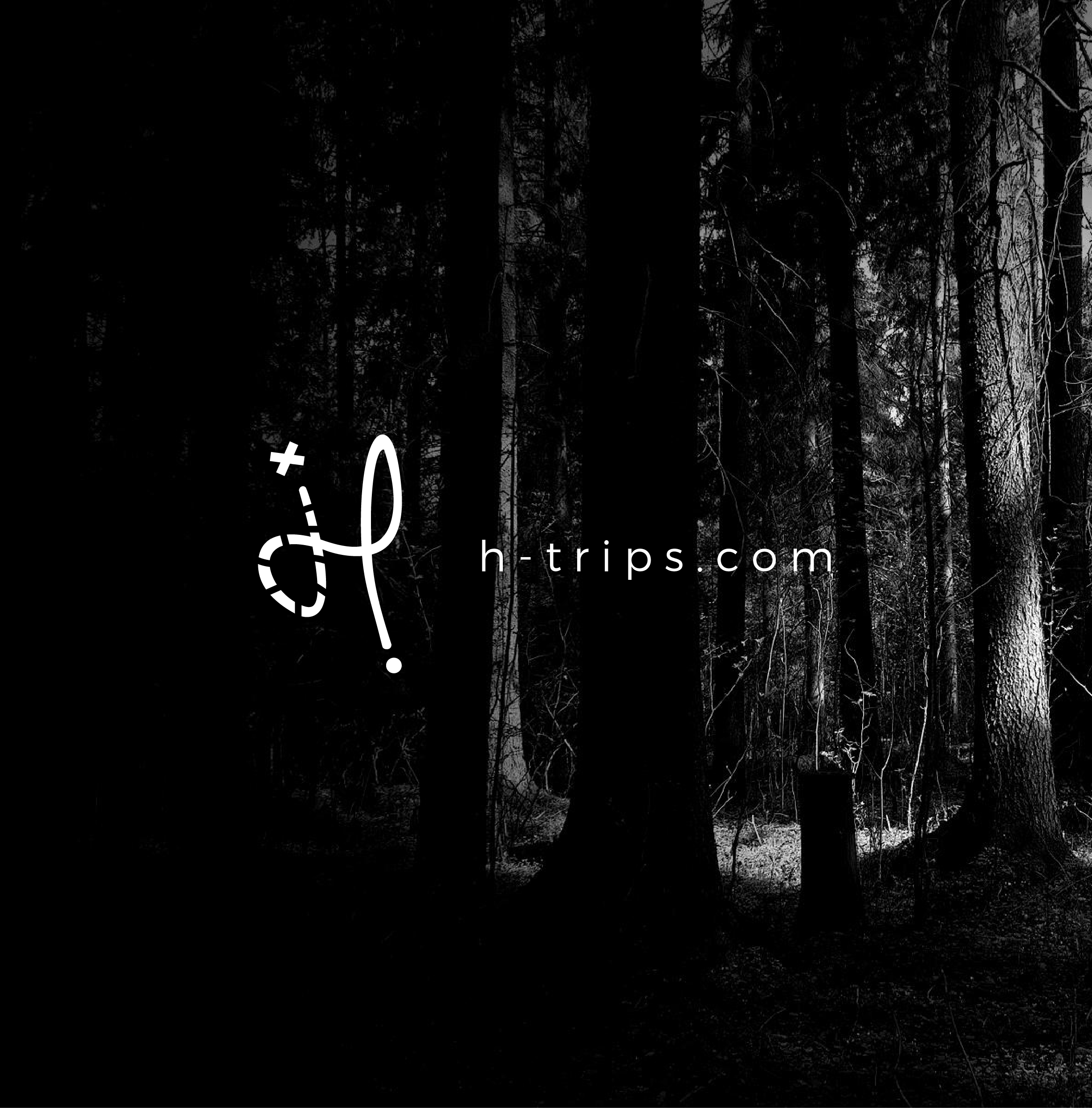 H trips by Lencemi H trips in Logo Design Inspiration by Lencemi