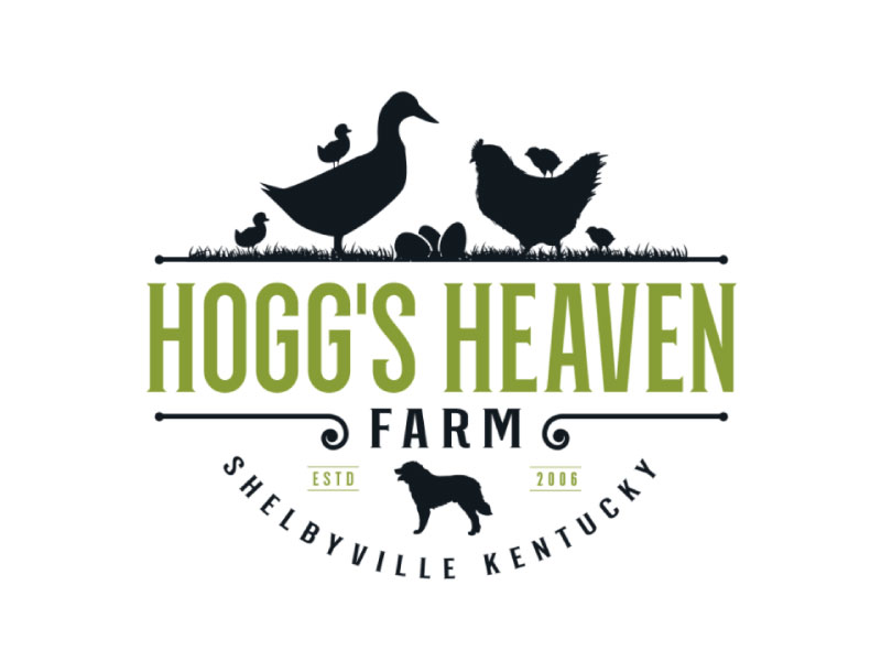 eggs, chicks, chickens, ducks by Friendship eggs, chicks, chickens, ducks in Logo & Brand Identity Inspiration by Friendship