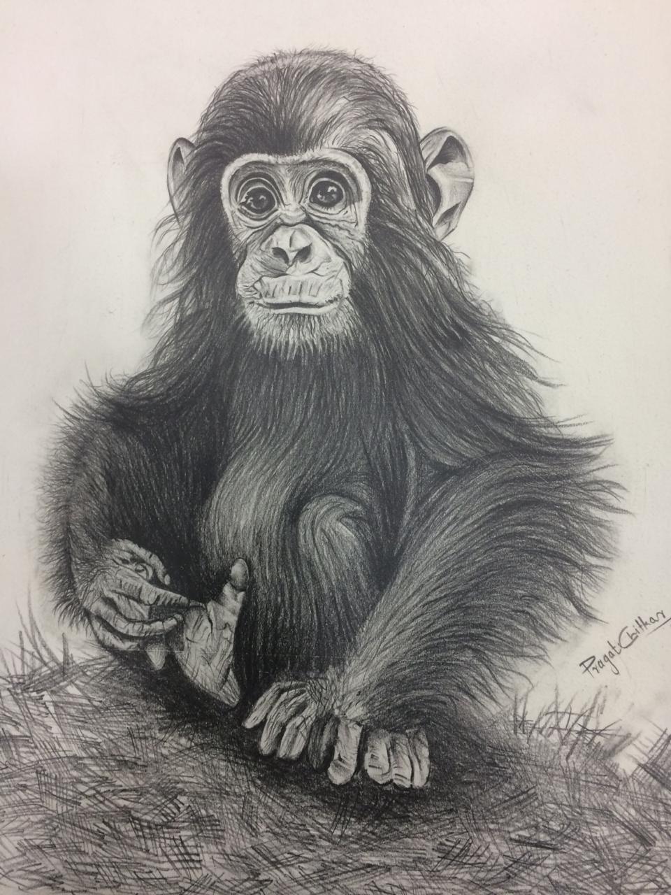 Pencil Sketch by Pragati Patil Pencil Sketch in Drawing Inspiration by Pragati Patil
