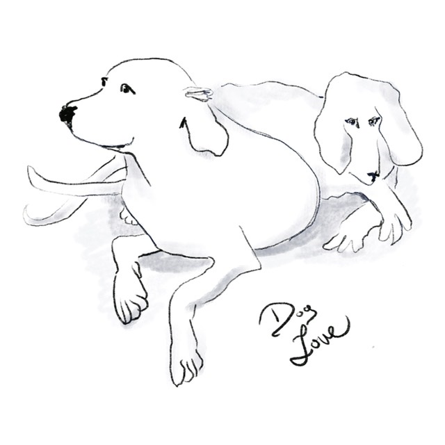 Dogs in line work by Cynthia Bogdanovich Dogs in line work in Drawing Inspiration by Cynthia Bogdanovich