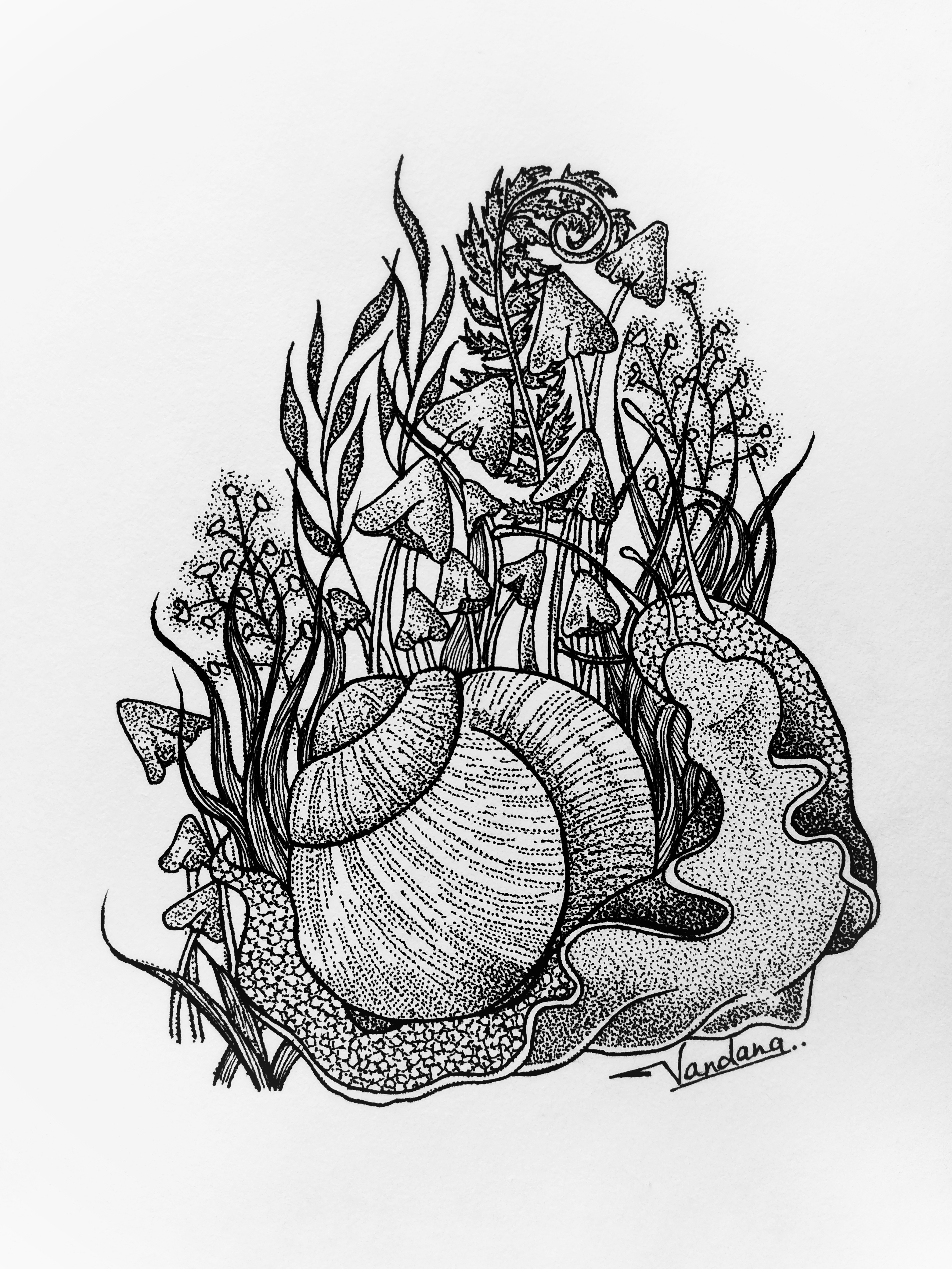 Snail 2 in Doodle Art Inspiration by Vandana Sharma
