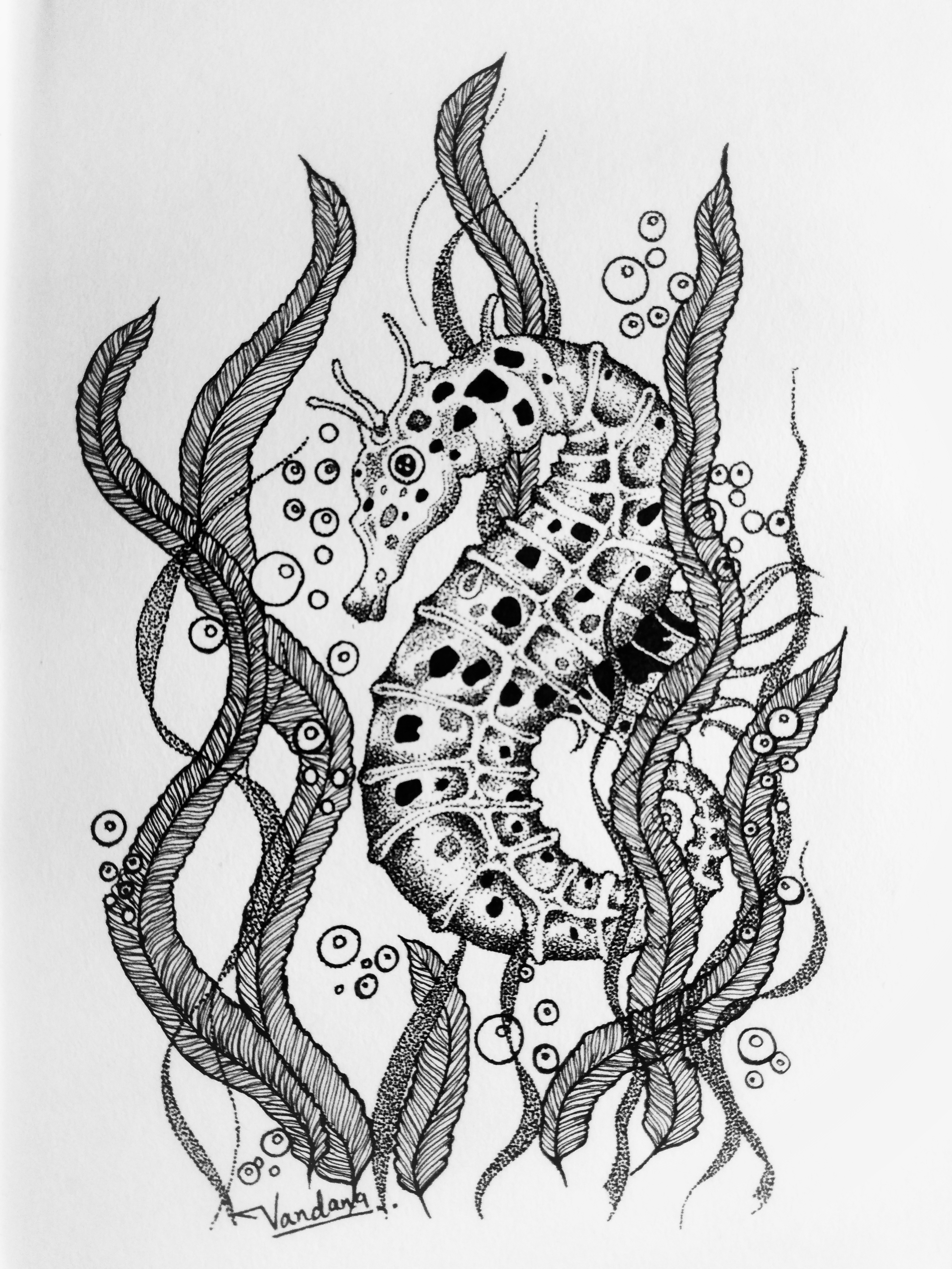Seahorse in Doodle Art Inspiration by Vandana Sharma