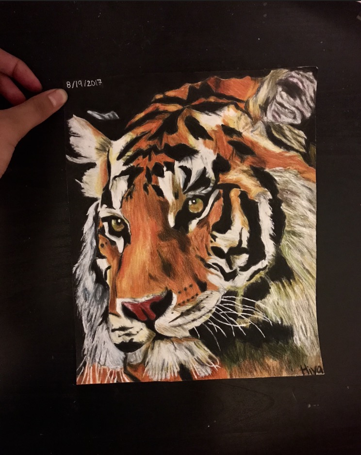 Eager Tiger by Hiya Shah Eager Tiger in Drawing Inspiration by Hiya Shah