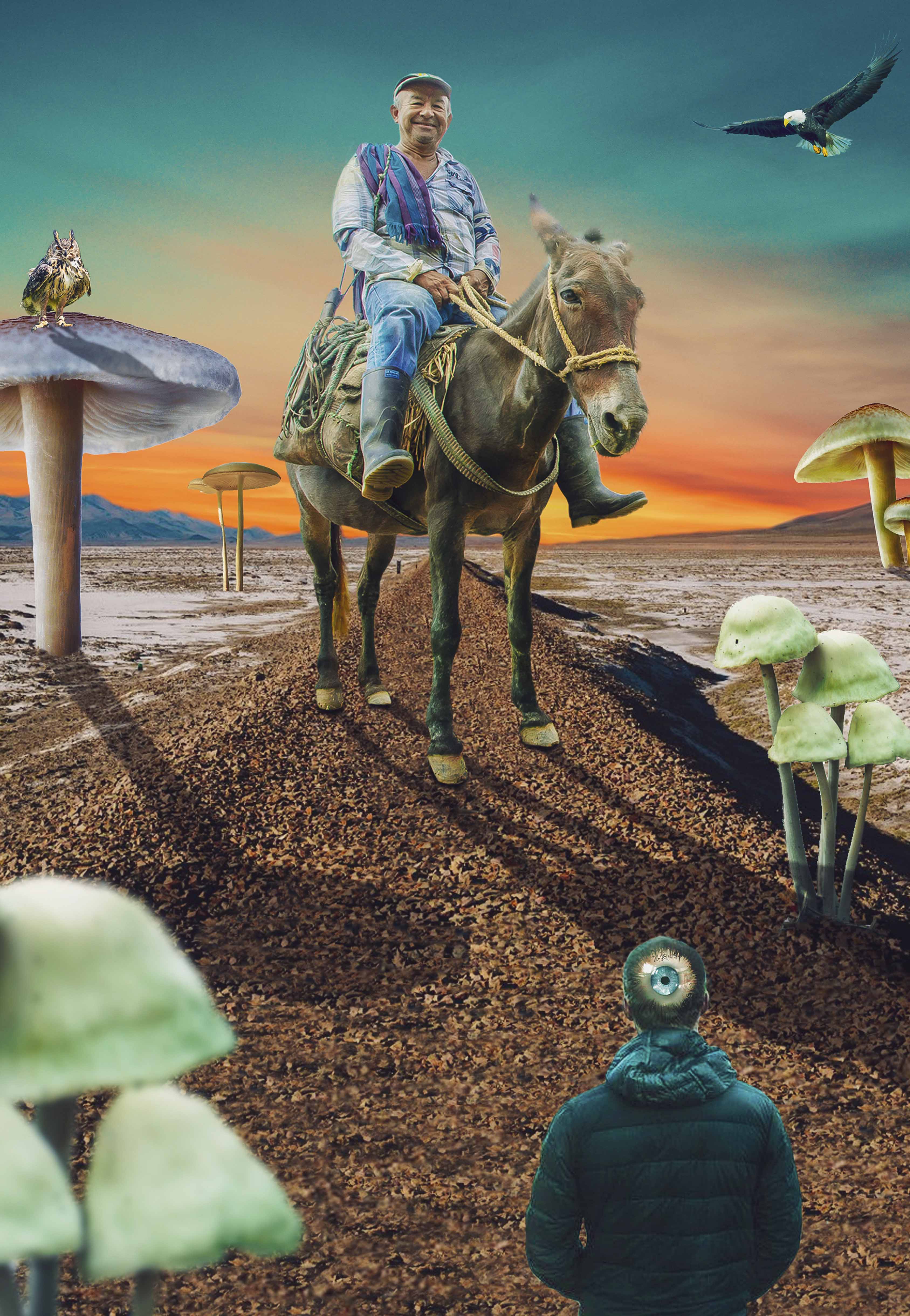 Search and see the wonders that surround you by Sebastián Díaz Search and see the wonders that surround you in Visual Art Inspiration by Sebastián Díaz