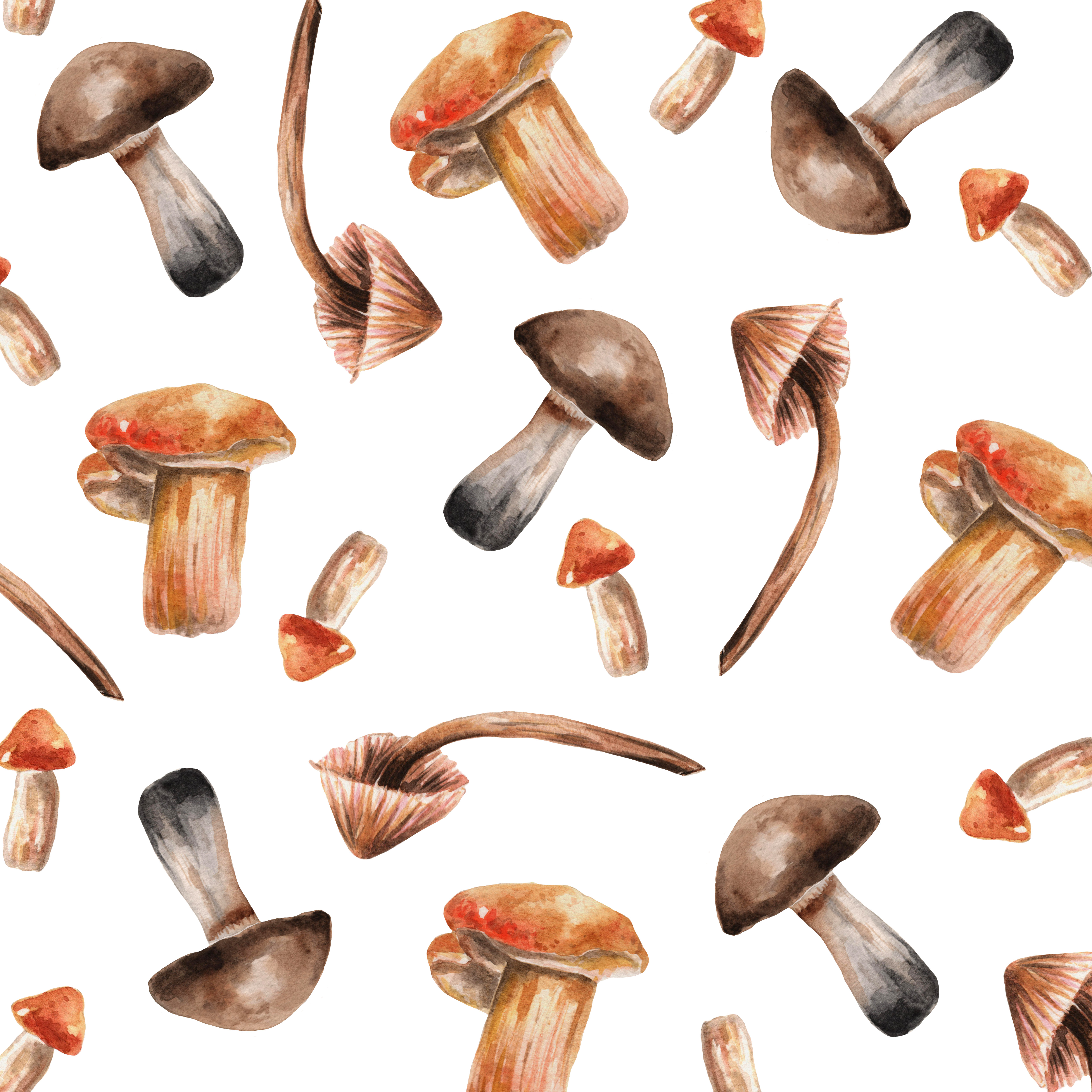 Autumnal Seamless Forest Mushrooms Pattern by Iryna Art Autumnal Seamless Forest Mushrooms Pattern in Pattern & Surface Design Inspiration by Iryna Art