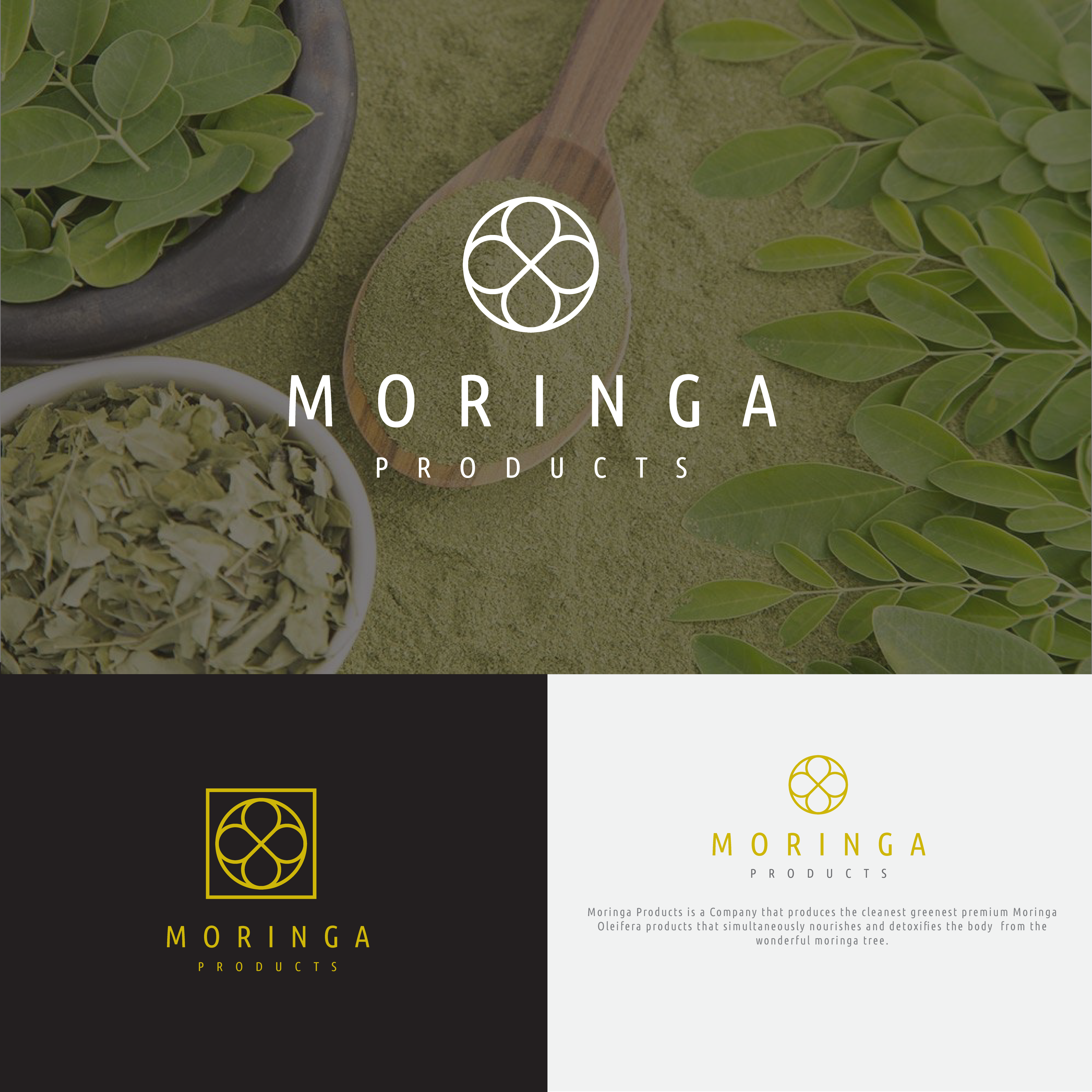 Moringa products in Logo & Brand Identity Inspiration by Jkinyanjui