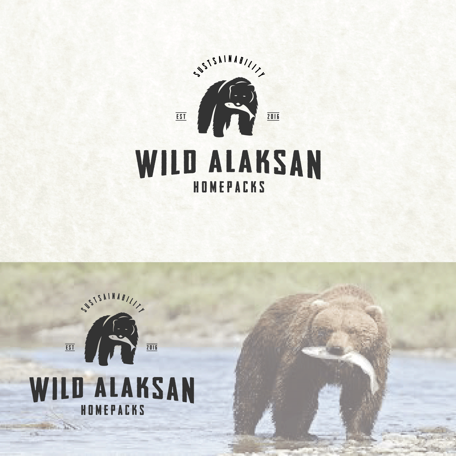 bear in Logo Design Inspiration by Adamdz