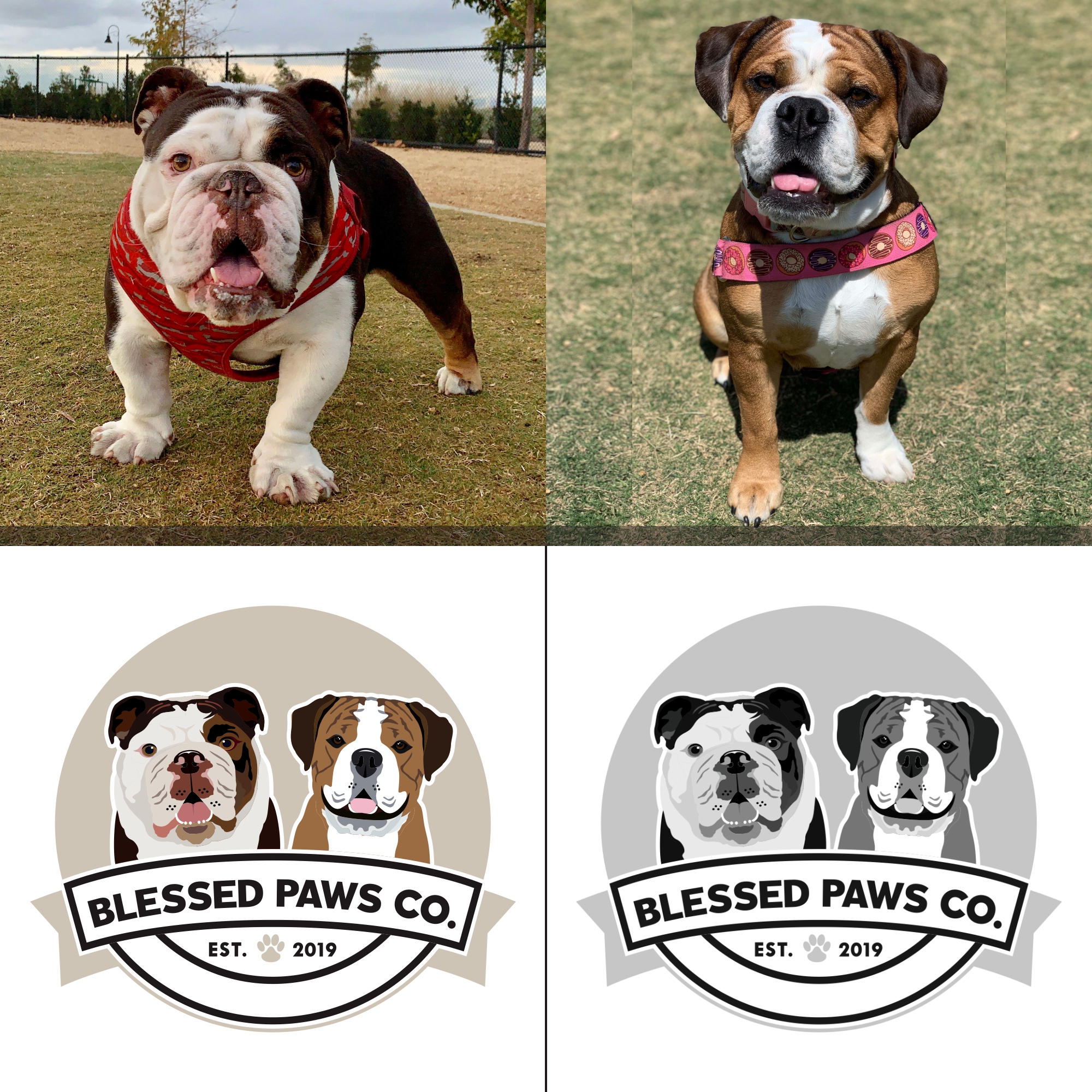Dog Cartoon Logo by Brader Noormand Dog Cartoon Logo in Character & Mascot design Inspiration by Brader Noormand