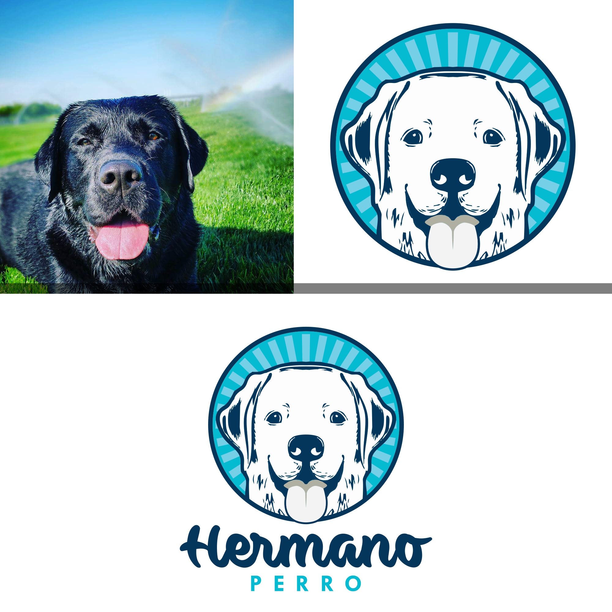 Illustrated Dog Logo in Illustration and Graphics Inspiration by Brader Noormand