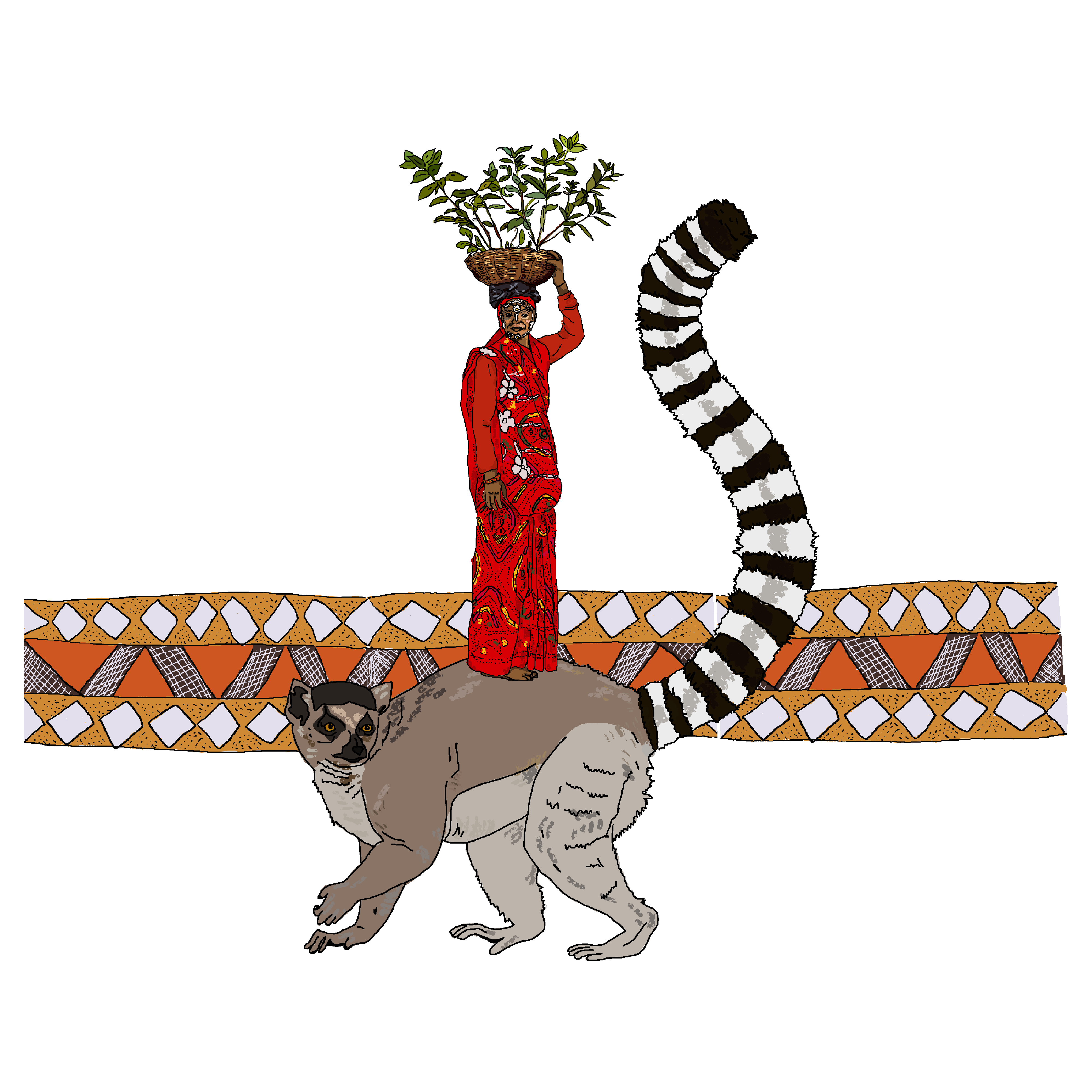Lemur land in Drawing Inspiration by Great Expectations