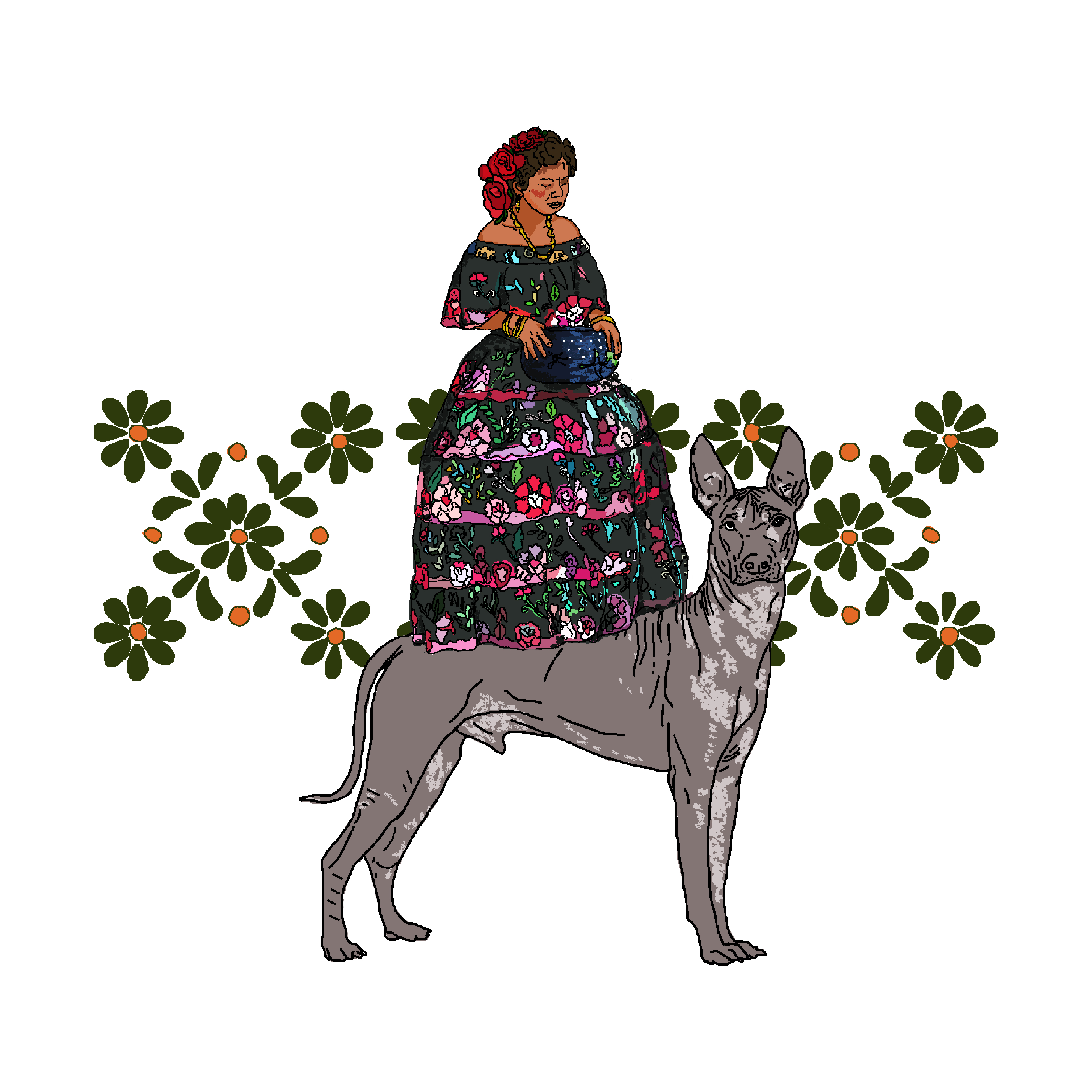 Xolo land by Great Expectations Xolo land in Drawing Inspiration by Great Expectations