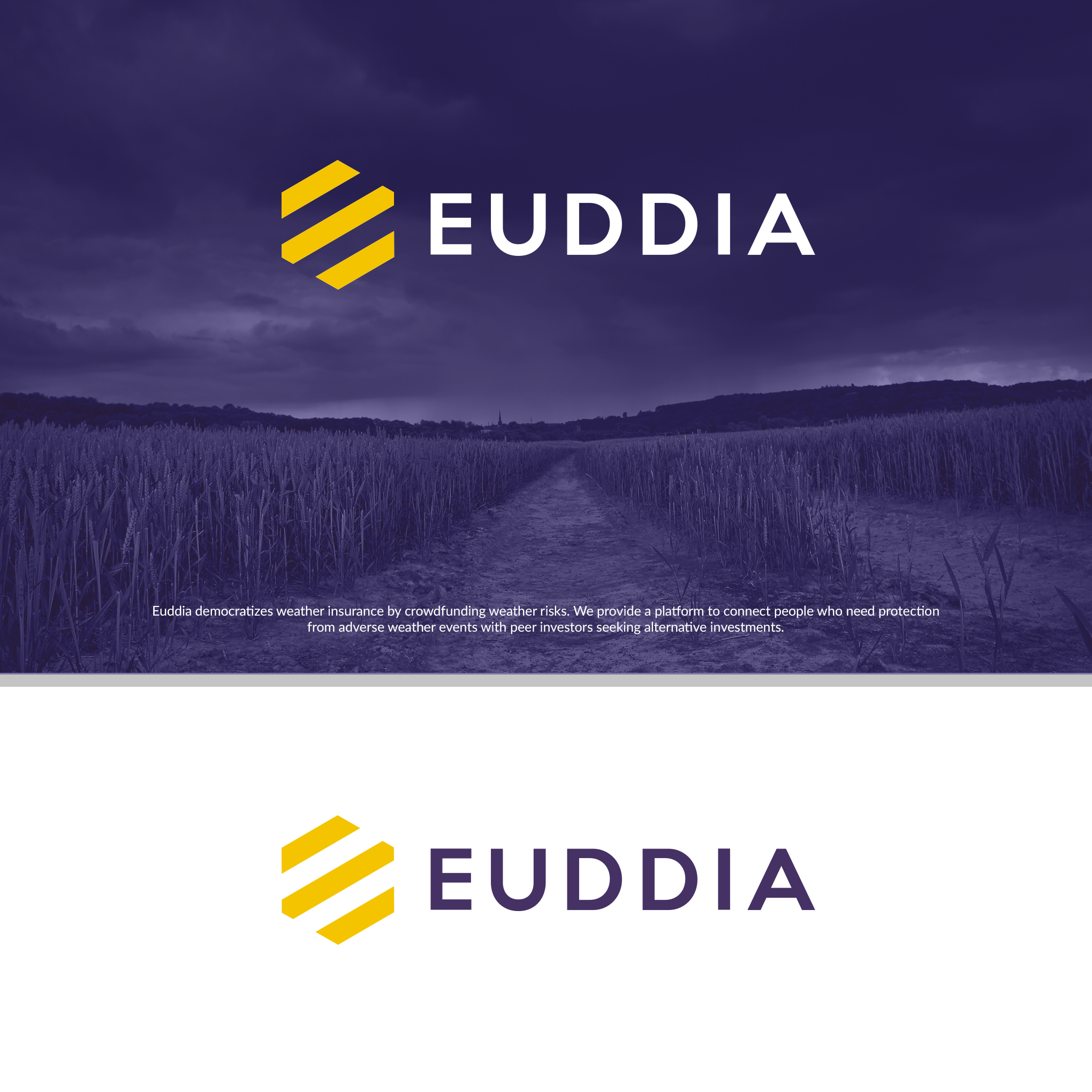 Euddia Logo Design by The Design Shark Euddia Logo Design in Logo Design Inspiration by The Design Shark