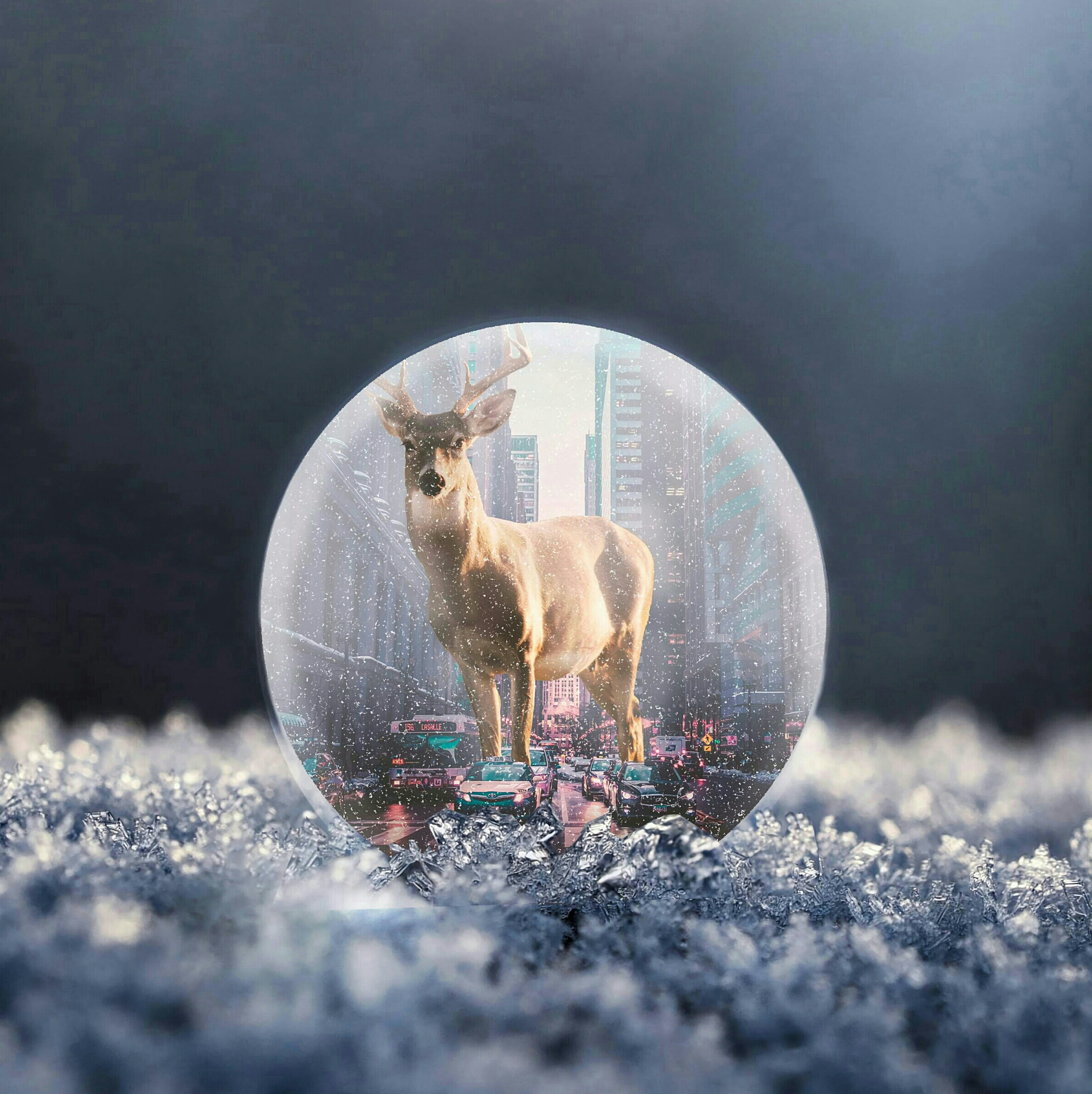 Photoshop Manipulation by Setiya Wt Photoshop Manipulation in Visual Art Inspiration by Setiya Wt