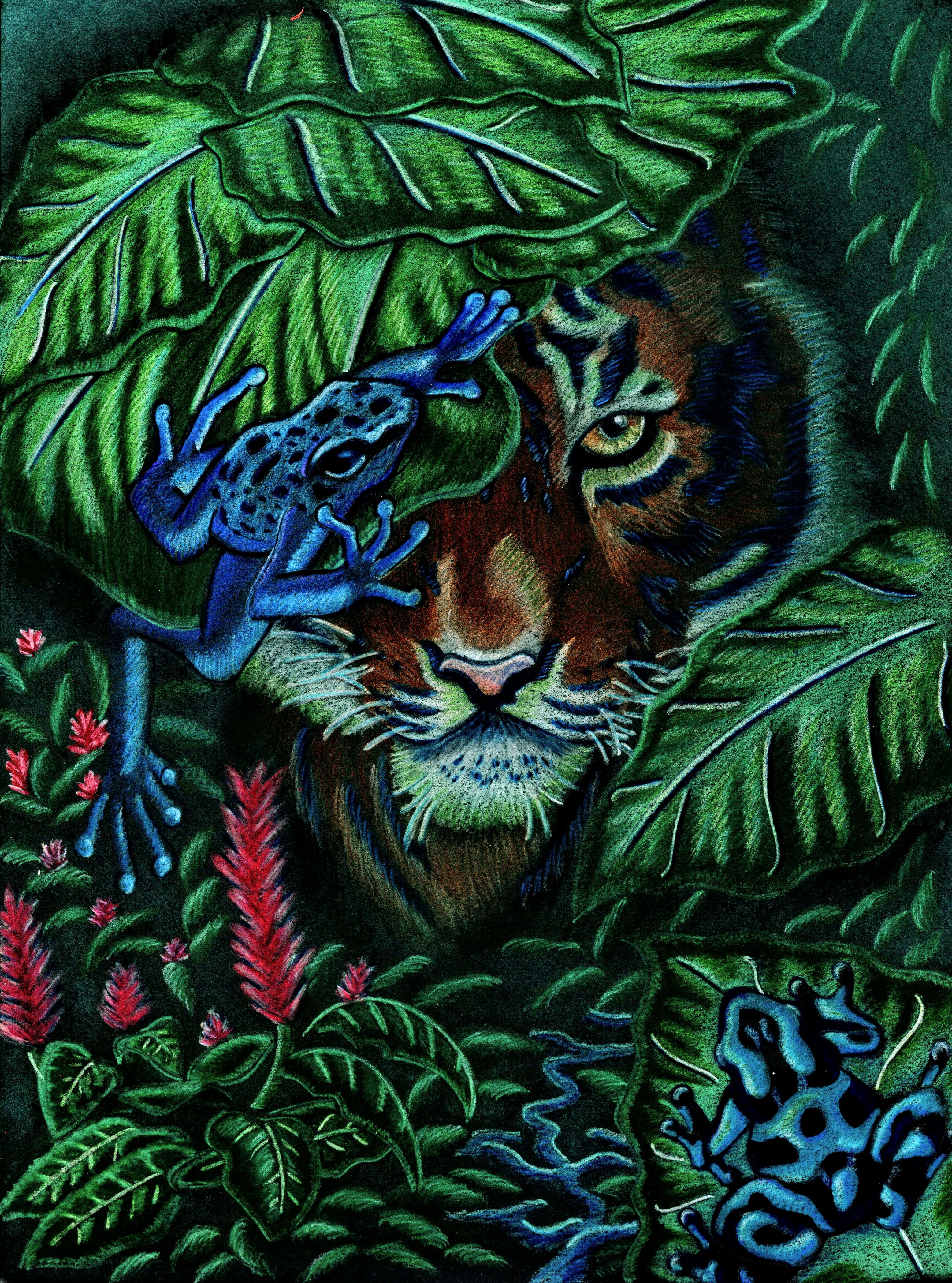 Beautiful and Dangerous in Drawing Inspiration by Jeremy Lyman