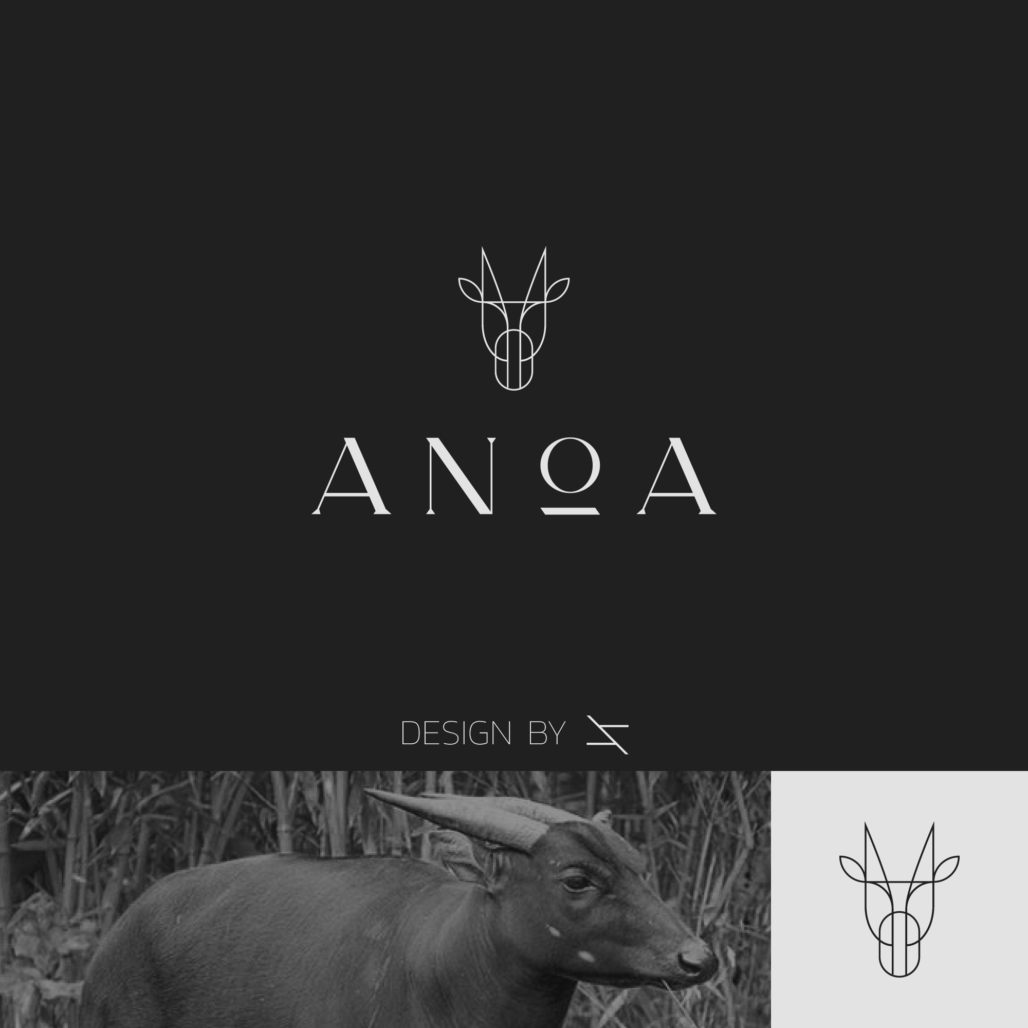 Anoa Logo by Asyraf Sidiq Anoa Logo in Logo Design Inspiration by Asyraf Sidiq