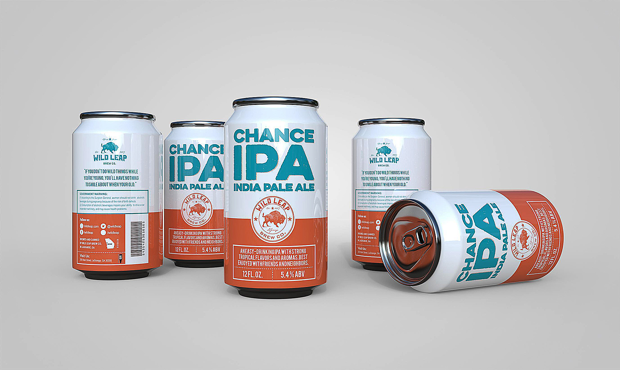 Can beer design and 3D rendering in Label Design Inspiration by Giocovision
