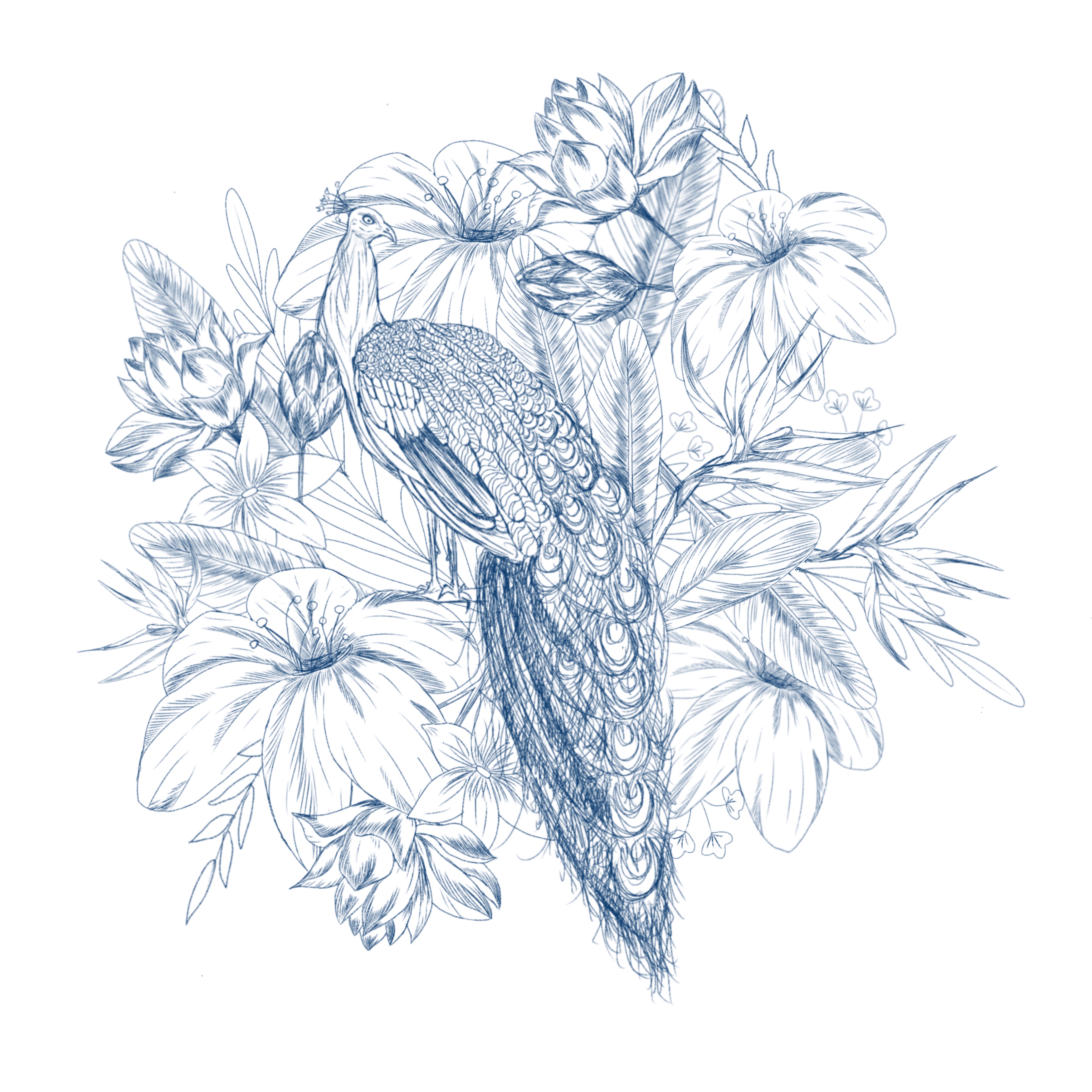 Peacock in Jungle in Illustration and Graphics Inspiration by Iryna Orzech