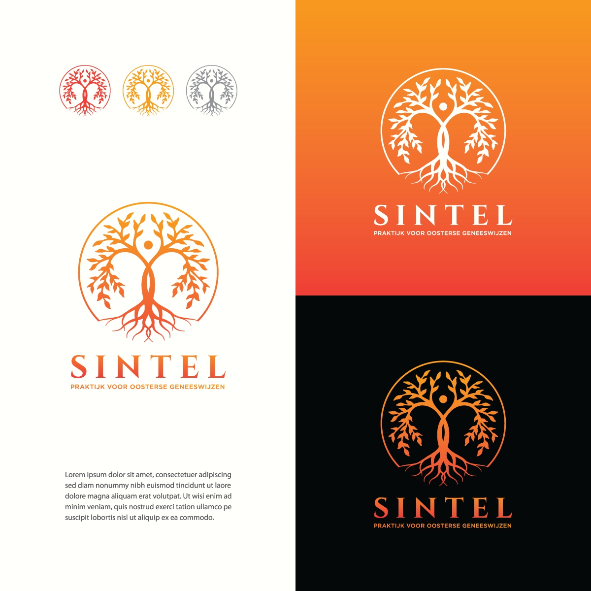 Sintel by Azam Khan Sintel in Logo & Brand Identity Inspiration by Azam Khan