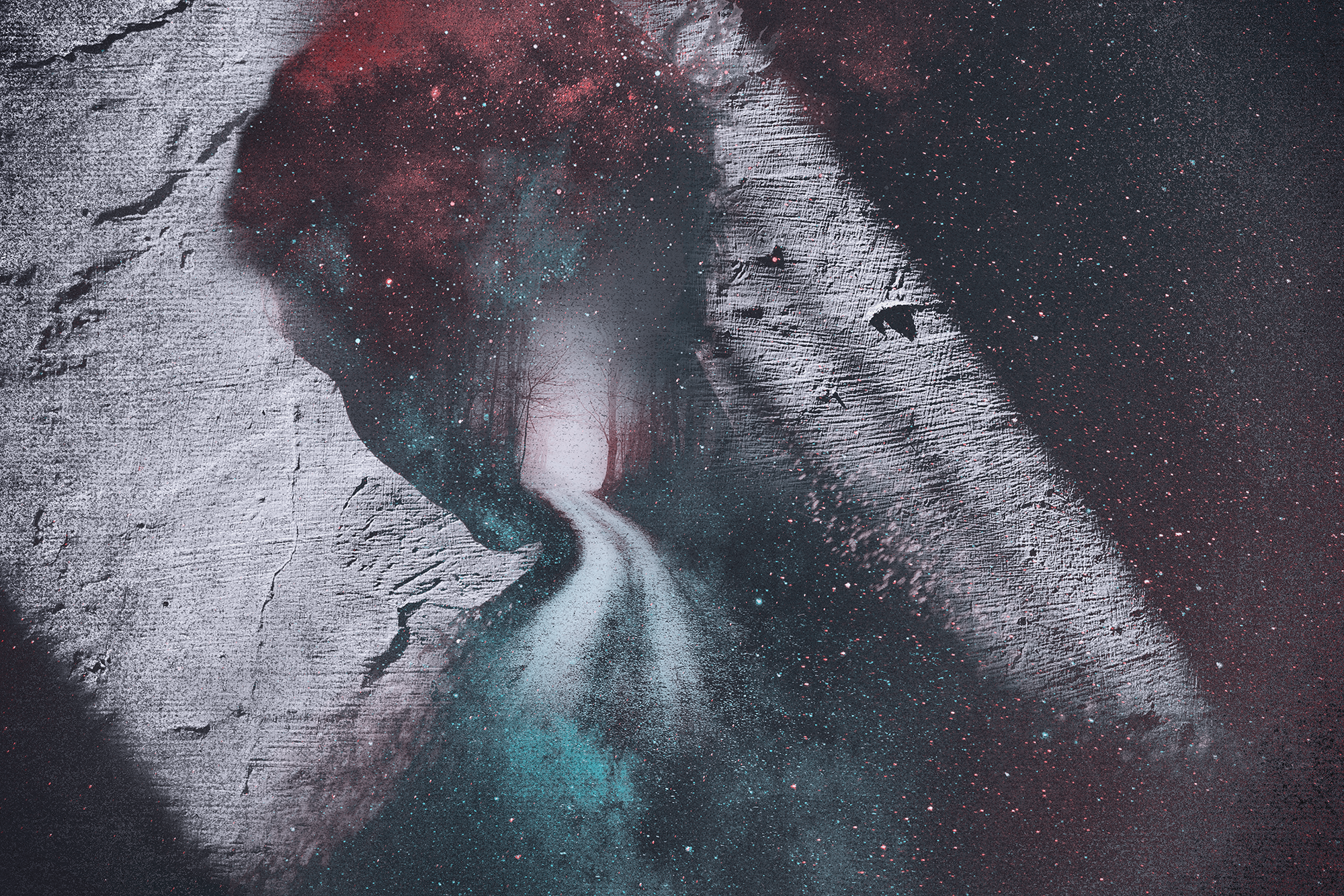 Hunted Forest by Ahmed Samy Hunted Forest in Visual Art Inspiration by Ahmed Samy