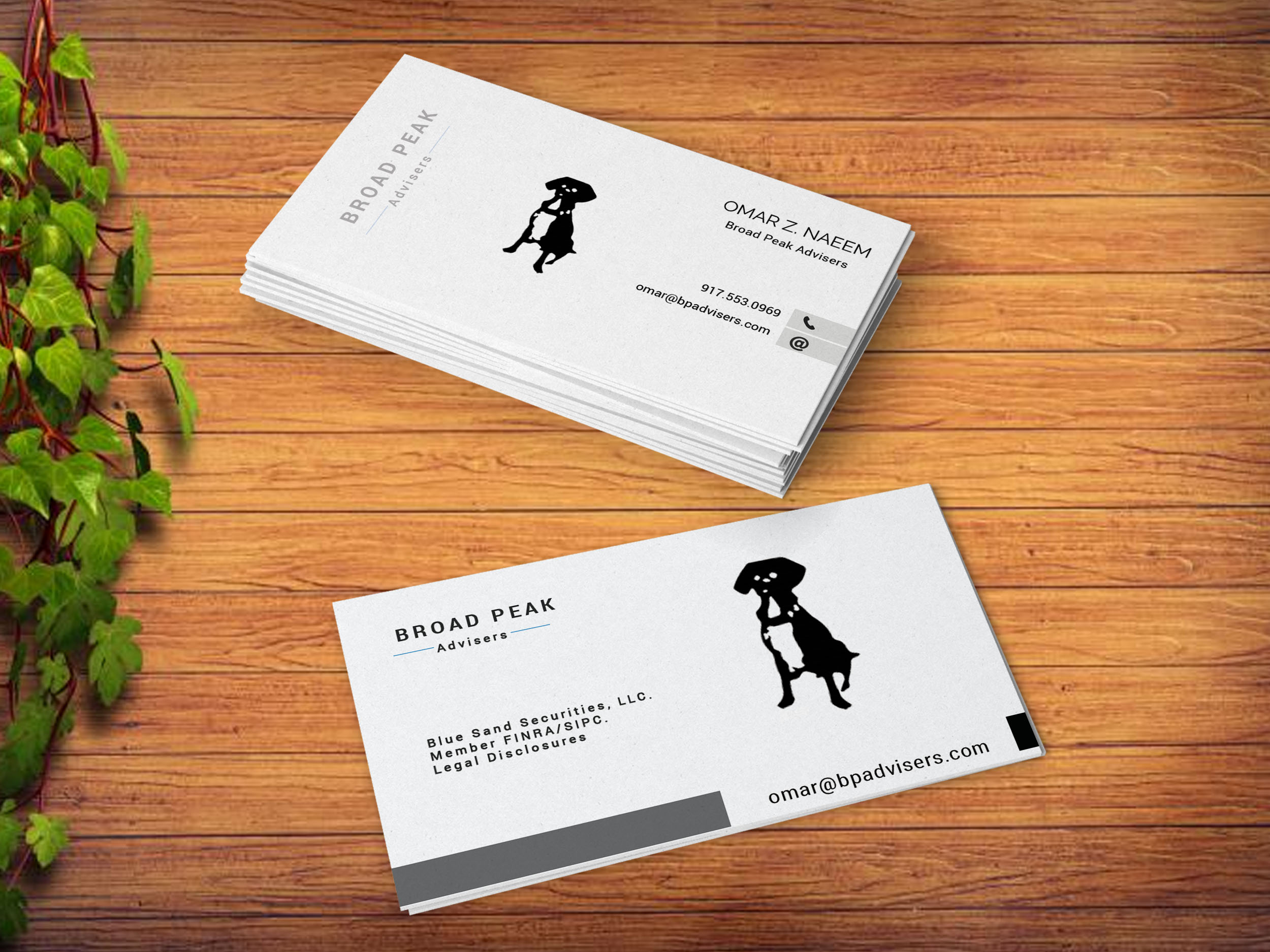 Clean business card in Business Card Design Inspiration by Nadira Shakil