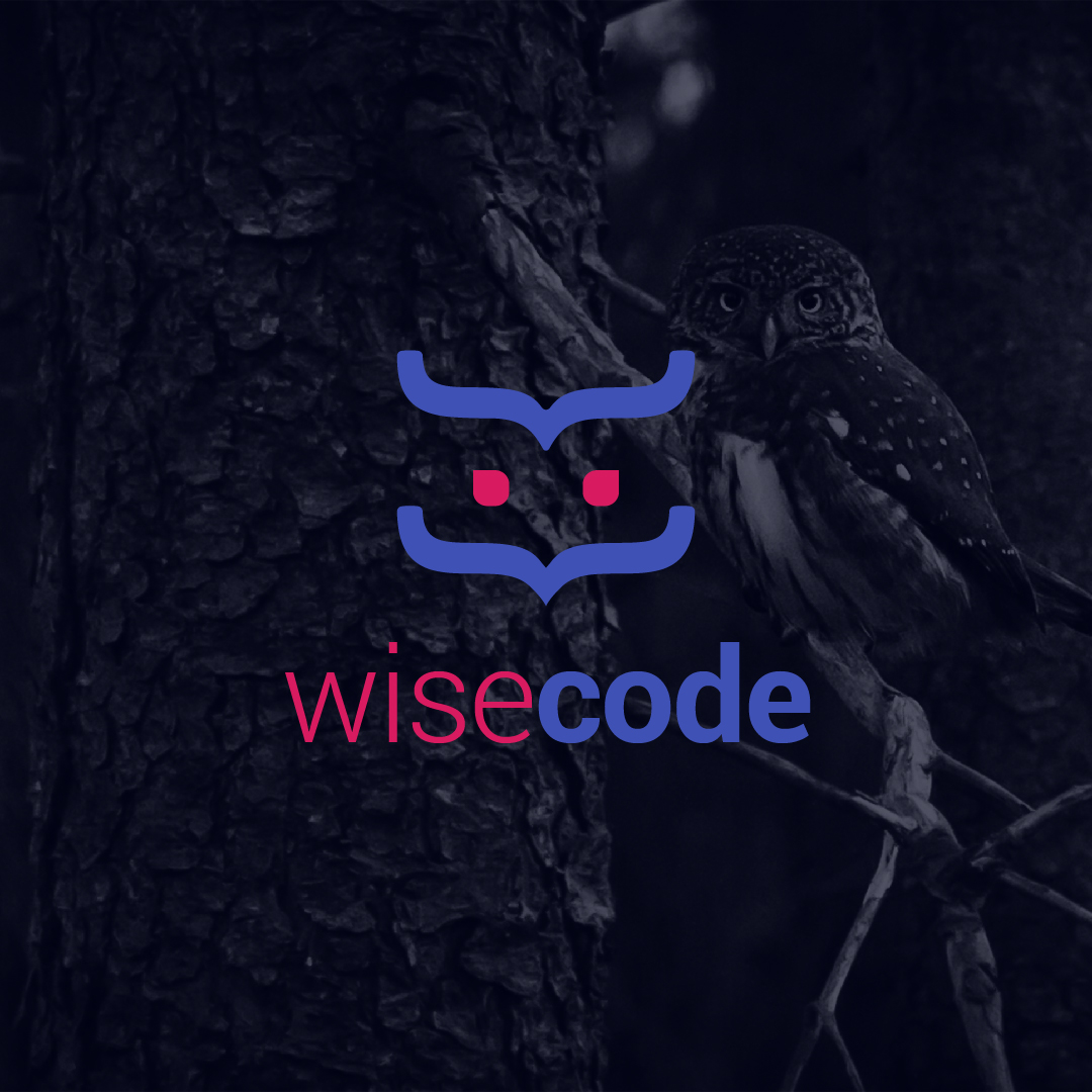Wise Code Logo Design by Blinvarfi Wise Code Logo Design in Logo Design Inspiration by Blinvarfi