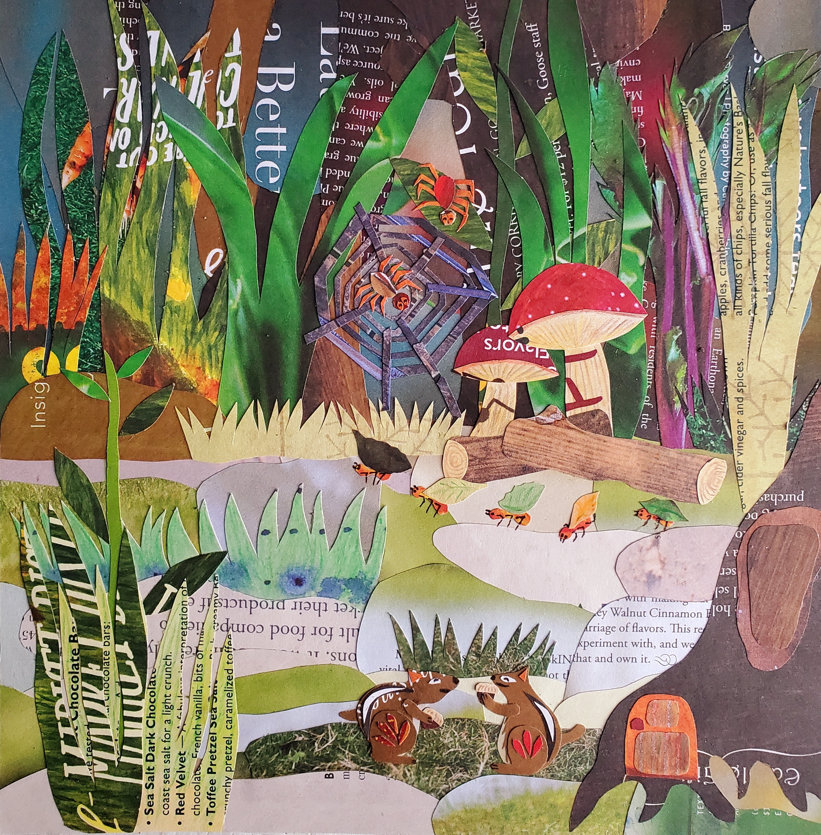 Biodiversity by Shelley Hanmo Qian Biodiversity in Drawing Inspiration by Shelley Hanmo Qian