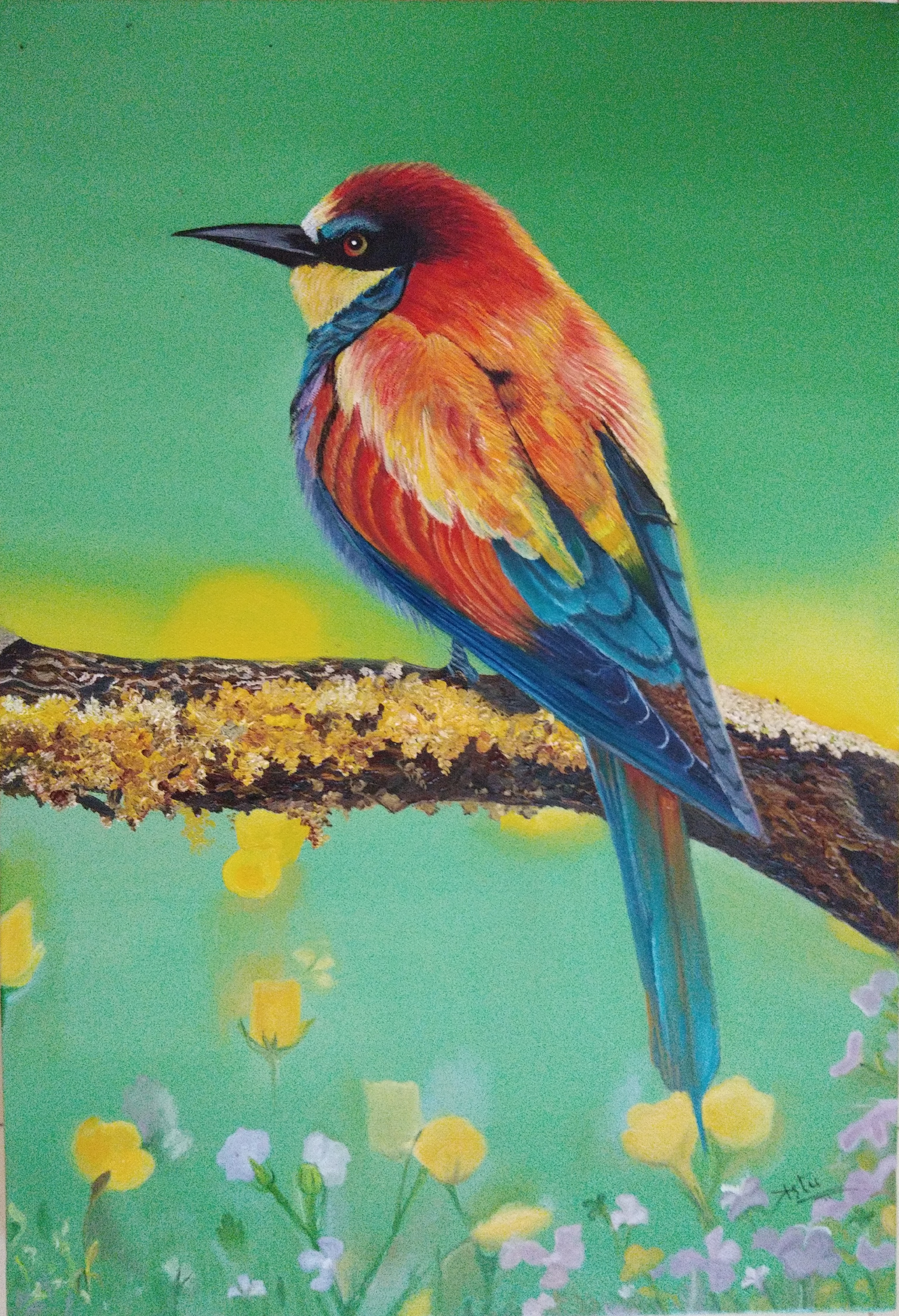 a fluffy bird in Poster Design Inspiration by Rutu Gajera