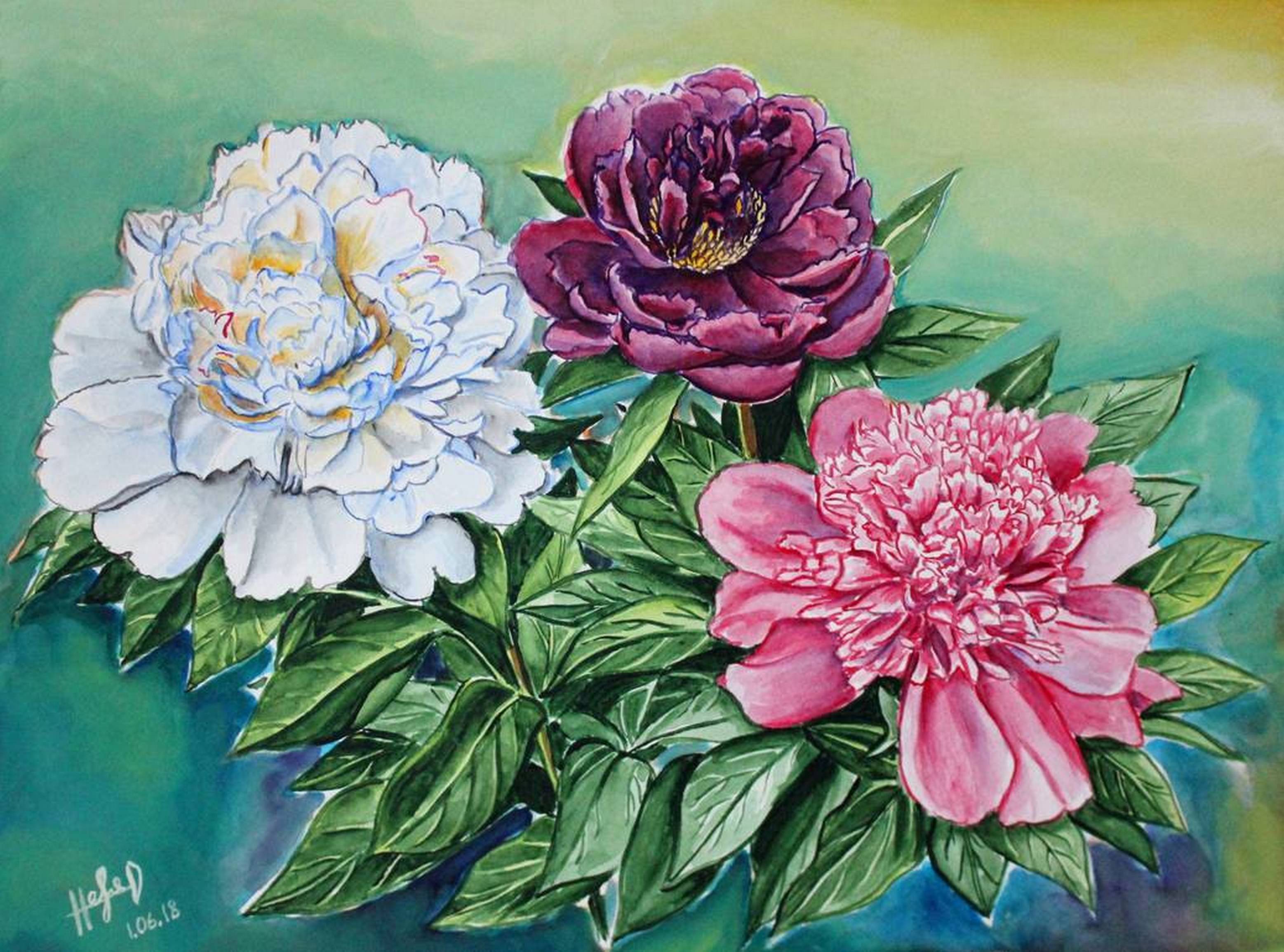 Peonies in Pattern & Surface Design Inspiration by Igor Nevzgliad