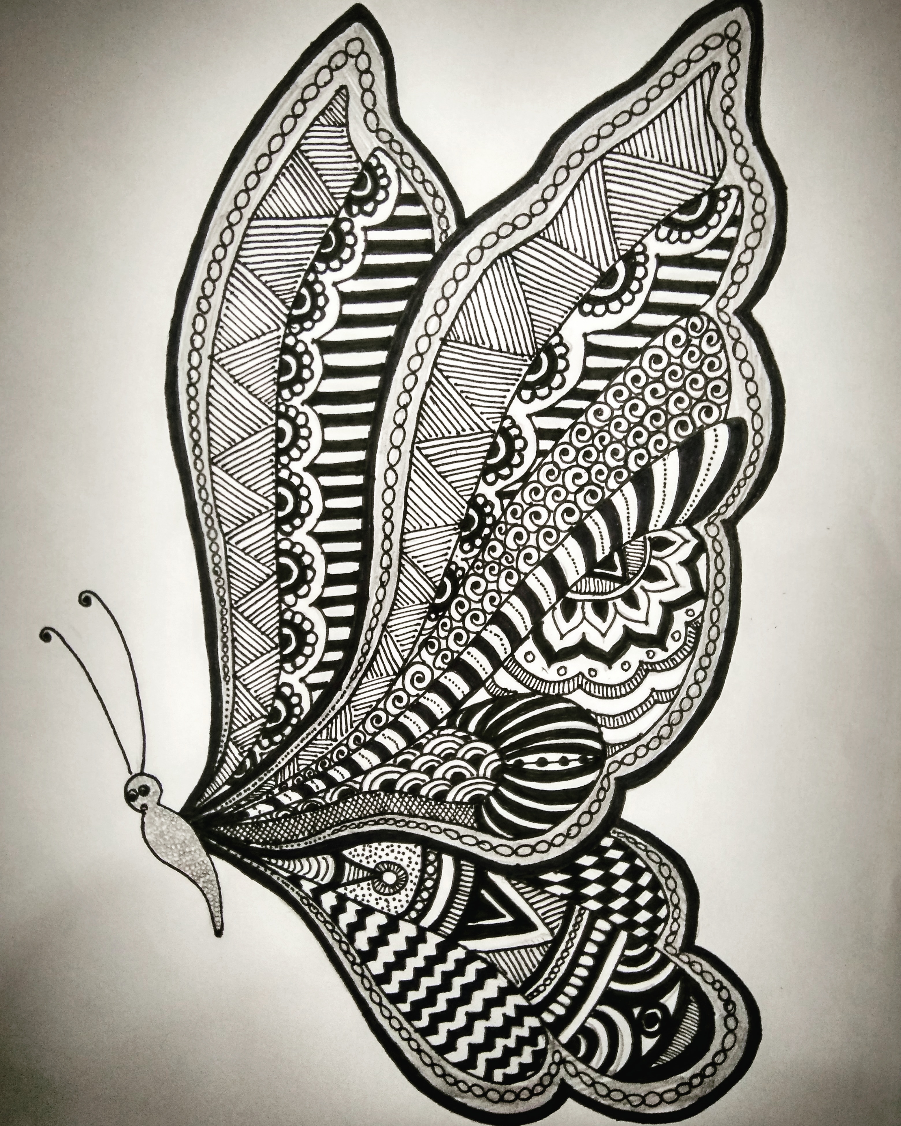 Butterfly in Doodle Art Inspiration by Dhivya Prasad