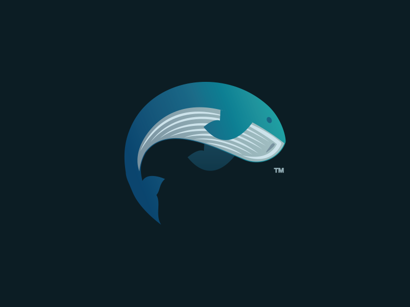 whale logo by Wicked whale logo in Logo Design Inspiration by Wicked