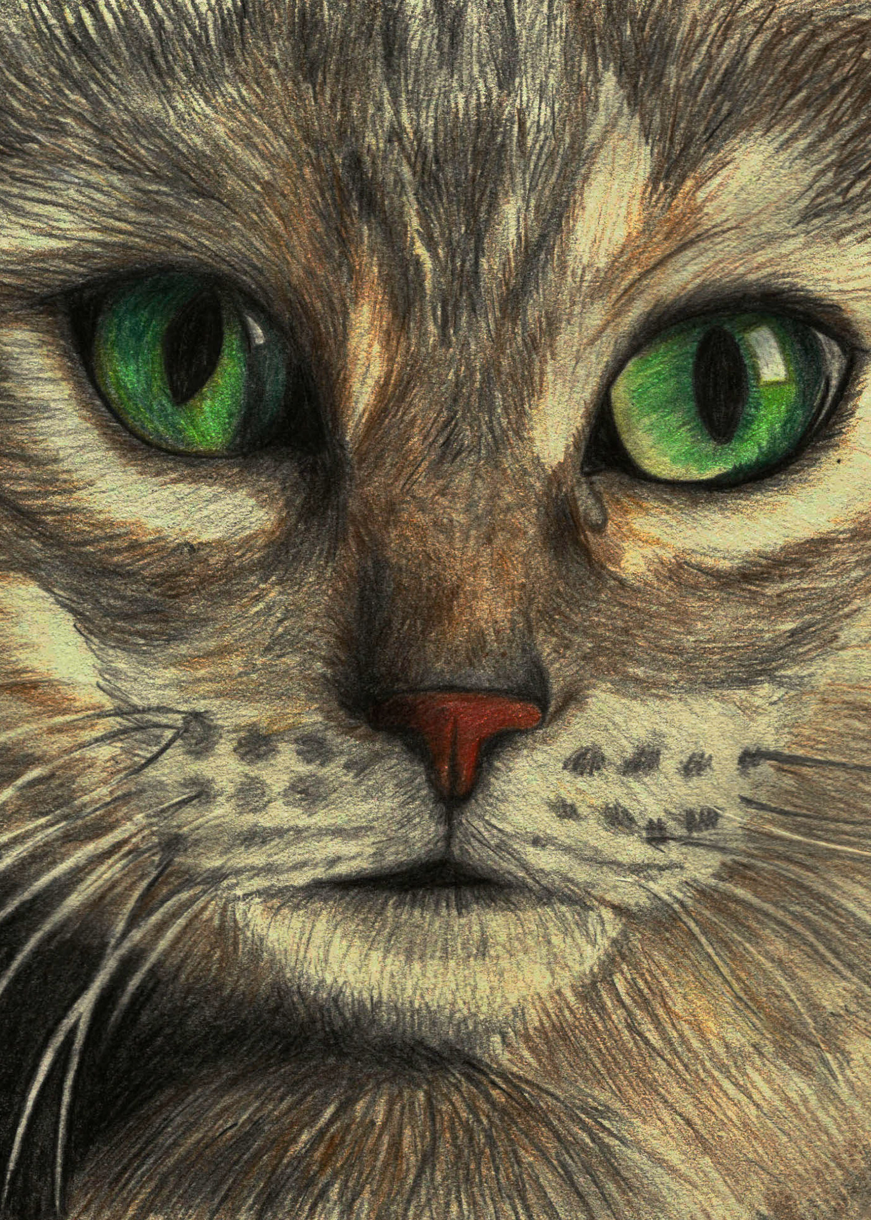 cat in Drawing Inspiration by Ana Balažic