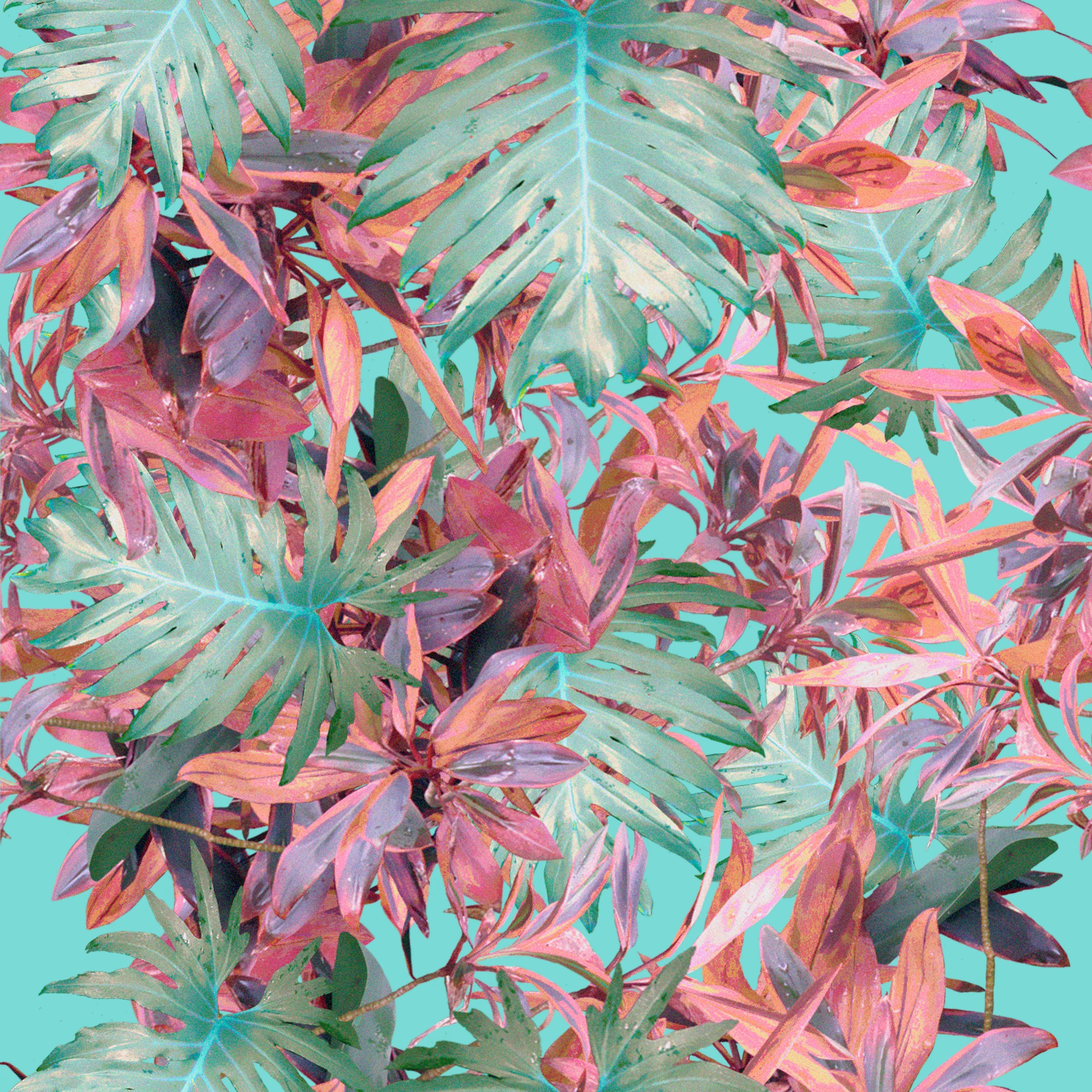 Tropic Foliage by Katherine Cionegate Tropic Foliage in Pattern & Surface Design Inspiration by Katherine Cionegate