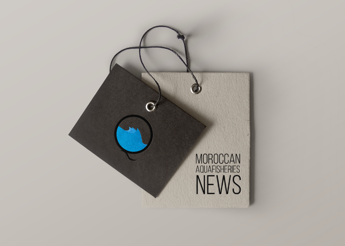 Q - Logo by Reda.bouaassoul Q - Logo in Logo & Brand Identity Inspiration by Reda.bouaassoul