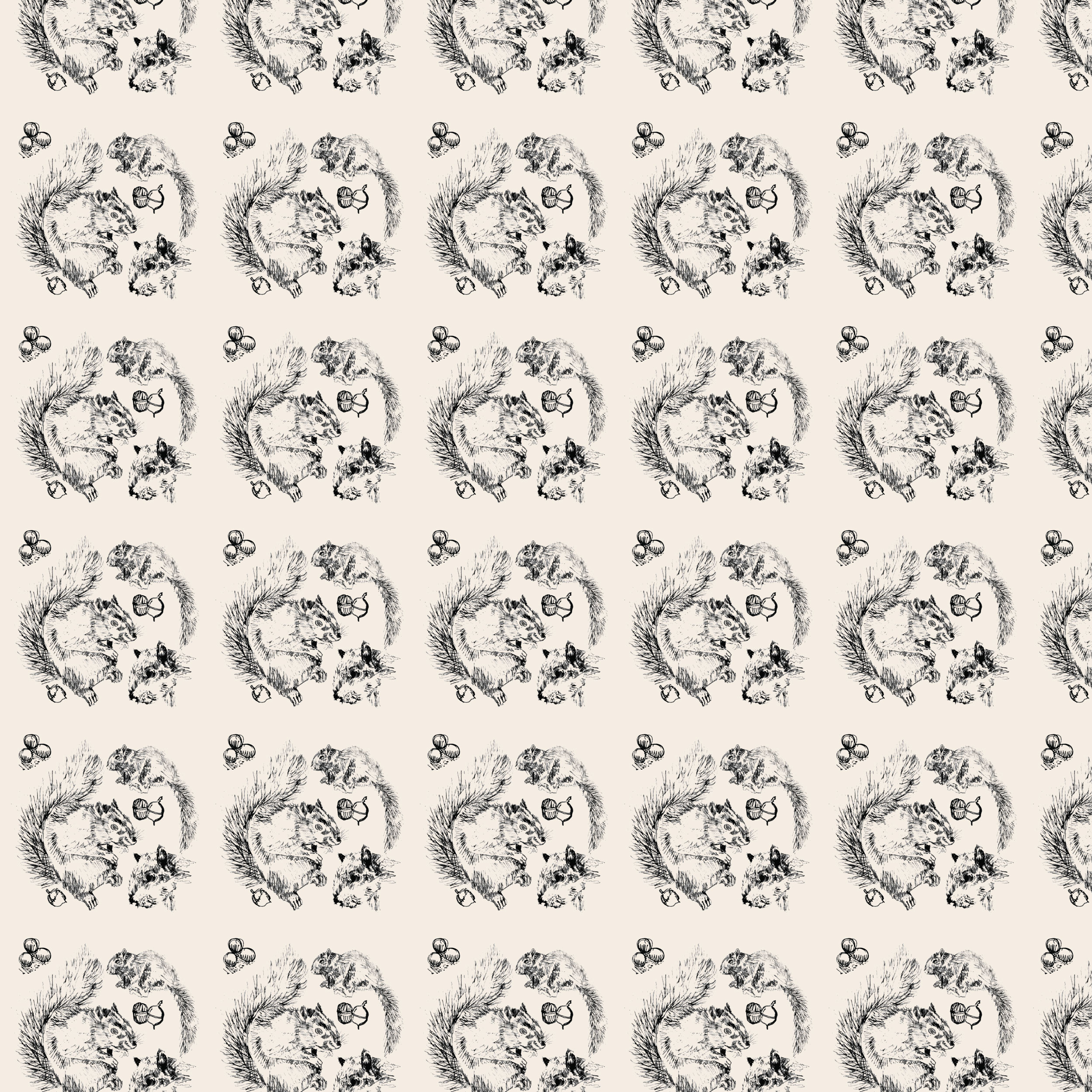 squirrel by Alexandra Douglas squirrel in Pattern & Surface Design Inspiration by Alexandra Douglas