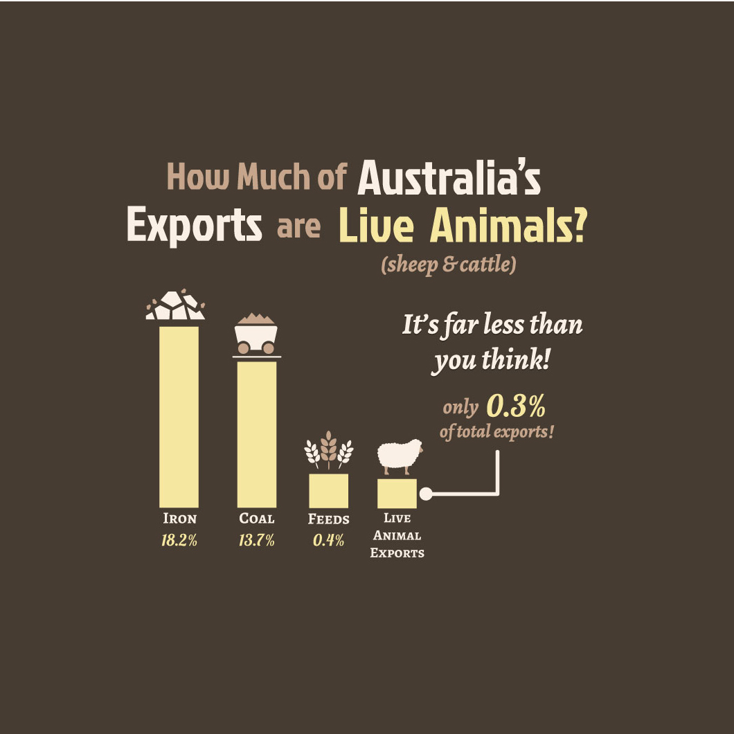 infographic by Steppysteph infographic in Infographic Design Inspiration by Steppysteph