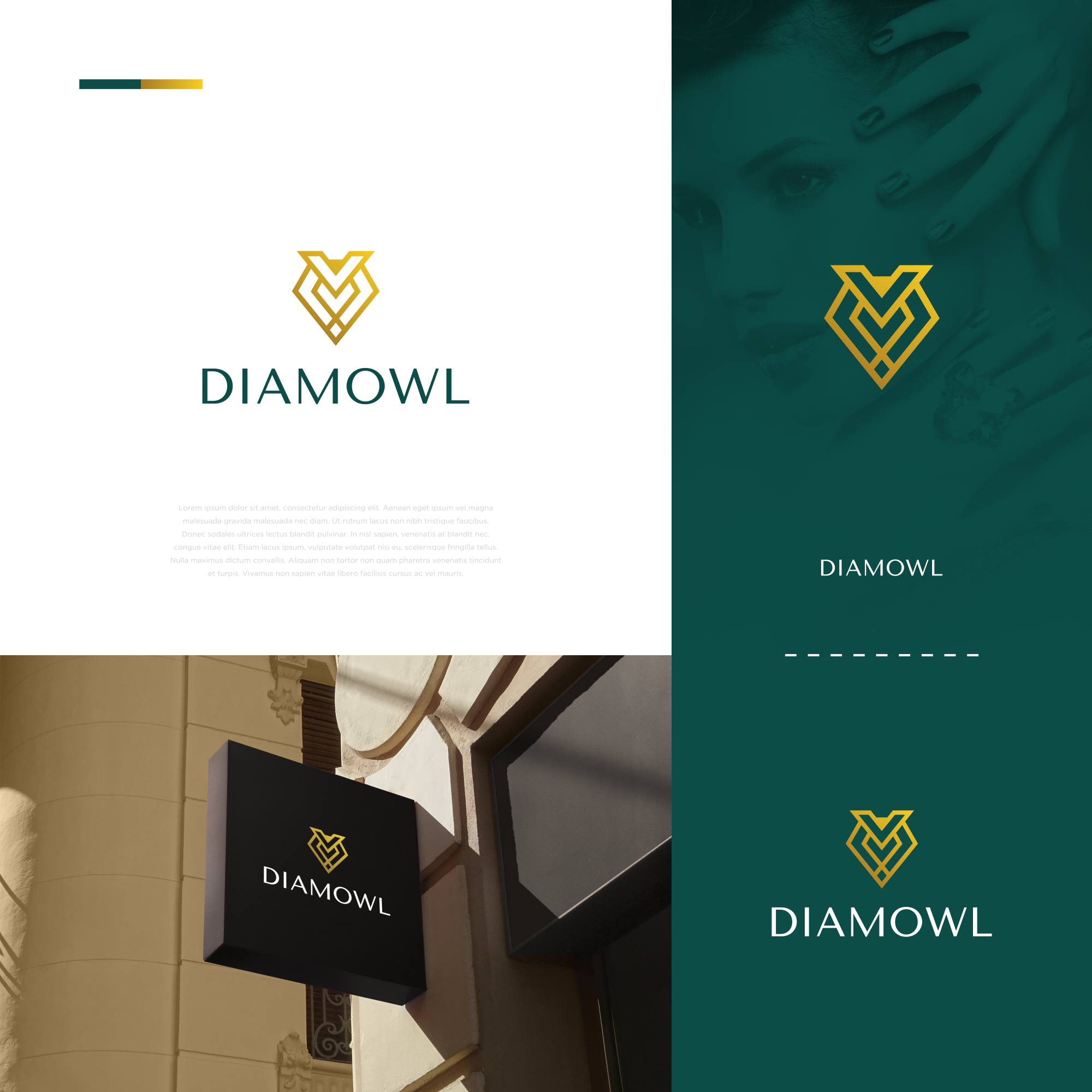 DiamOwl by Hapindz DiamOwl in Logo Design Inspiration by Hapindz