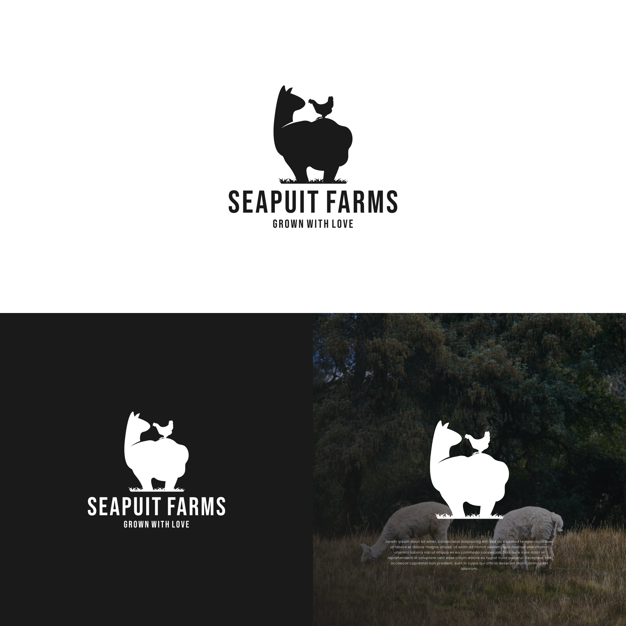 alpaca farms logo by Aberto alpaca farms logo in Logo Design Inspiration by Aberto