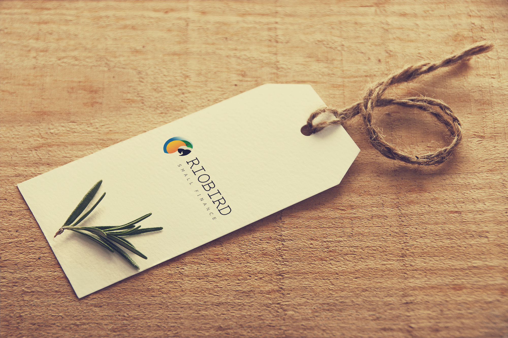 Rio bird small finance logo design in Logo Design Inspiration by Gopal_logodesigner