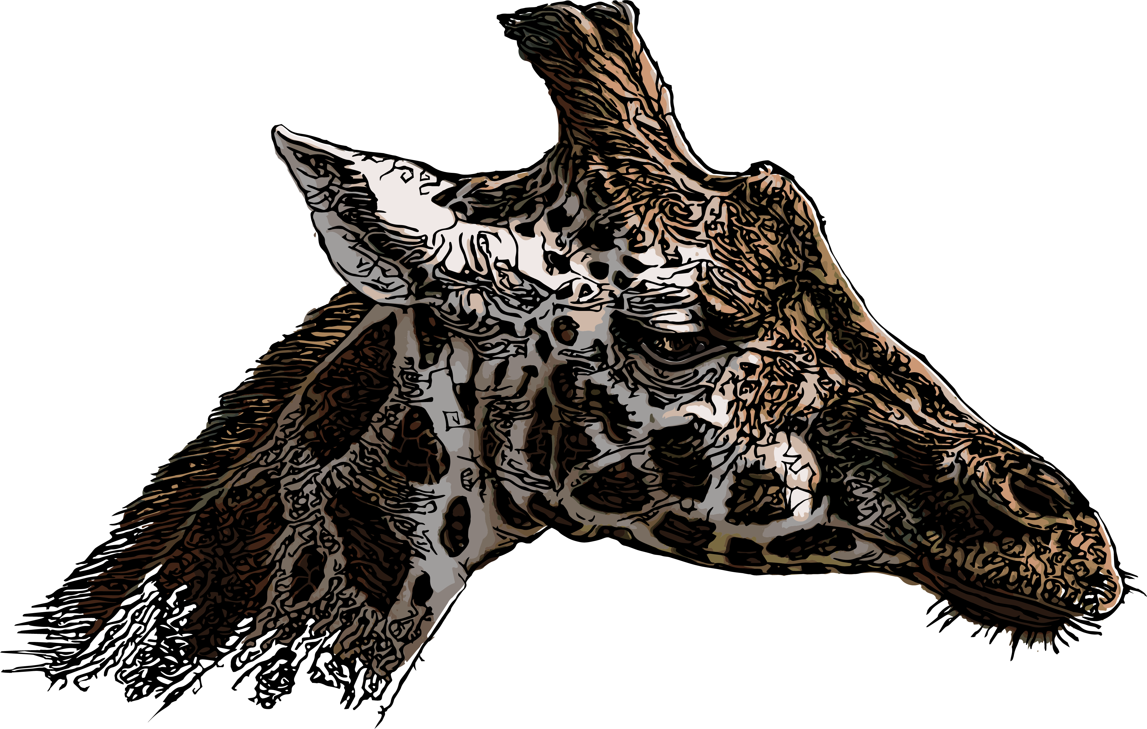 giraffe head vector illustration in Illustration and Graphics Inspiration by Martin.cintula