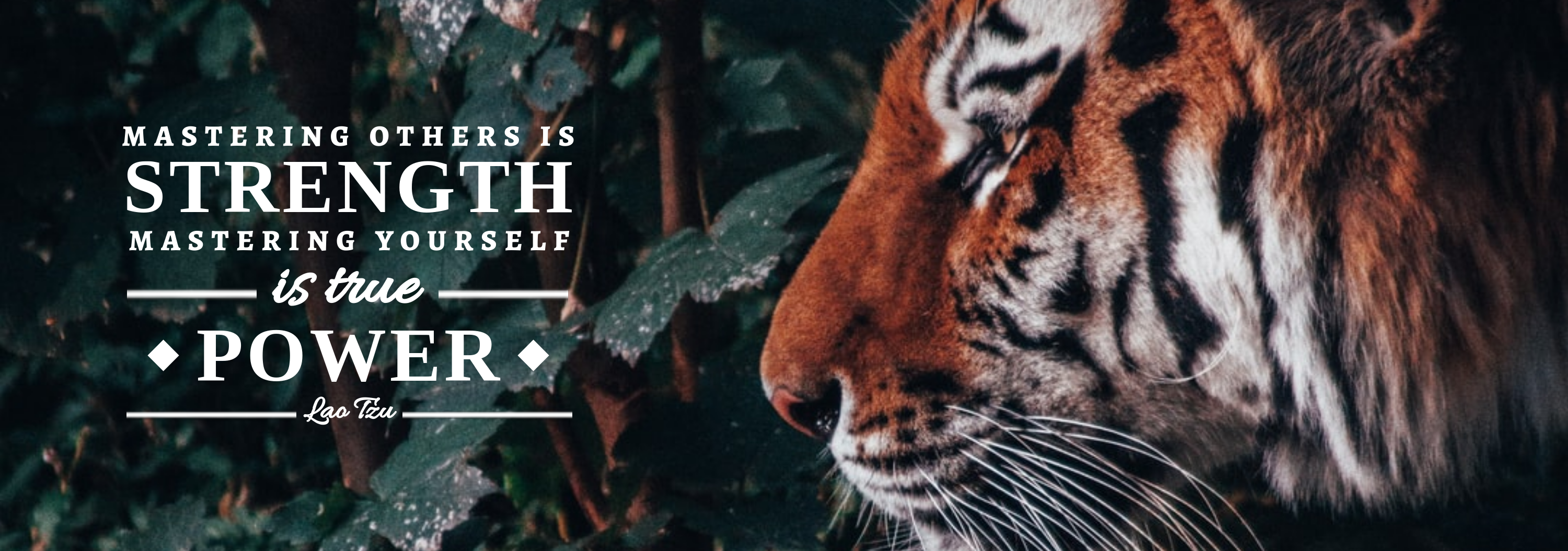 Strength in Tumblr Banner Inspiration by Puujaa Elanggovan